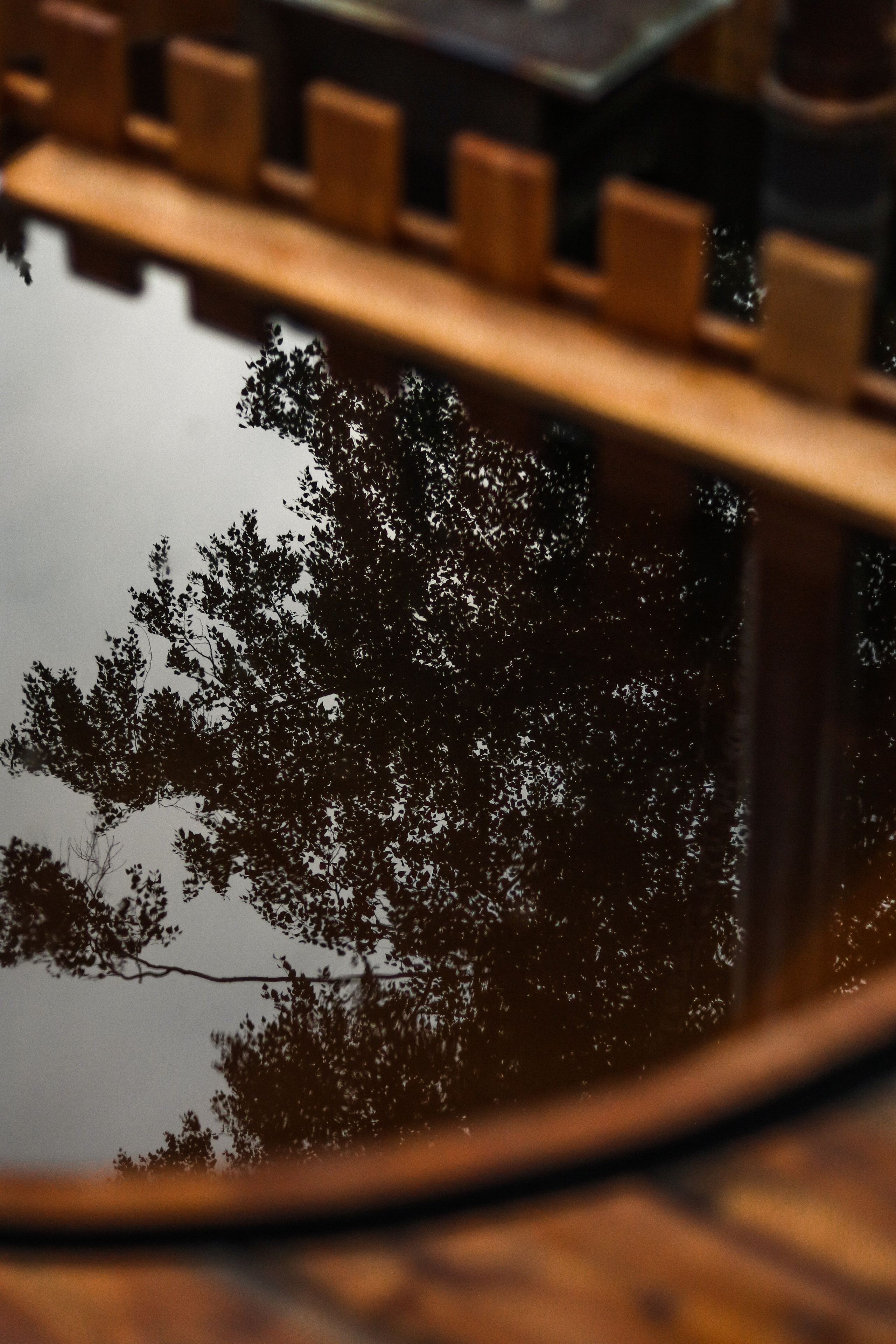 «Pinewood» банный комплекс, респ. Алтай. Контент фотограф Дмитрий Борисов