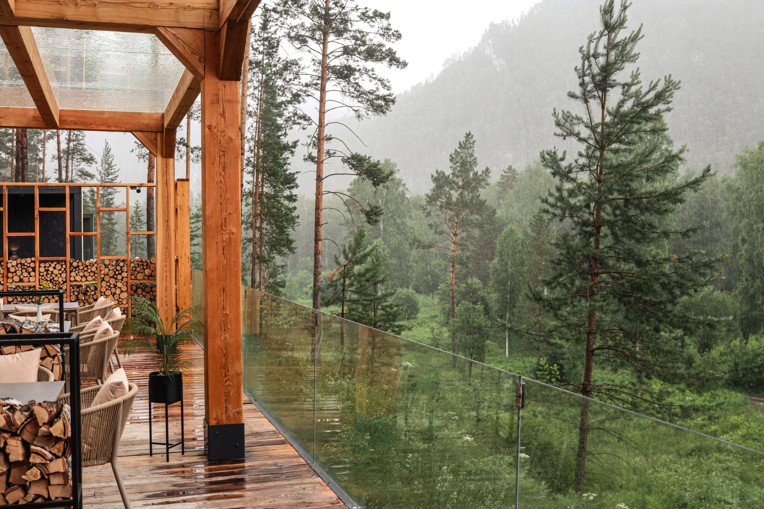 «Pinewood» парк-отель, респ. Алтай. Контент фотограф Дмитрий Борисов