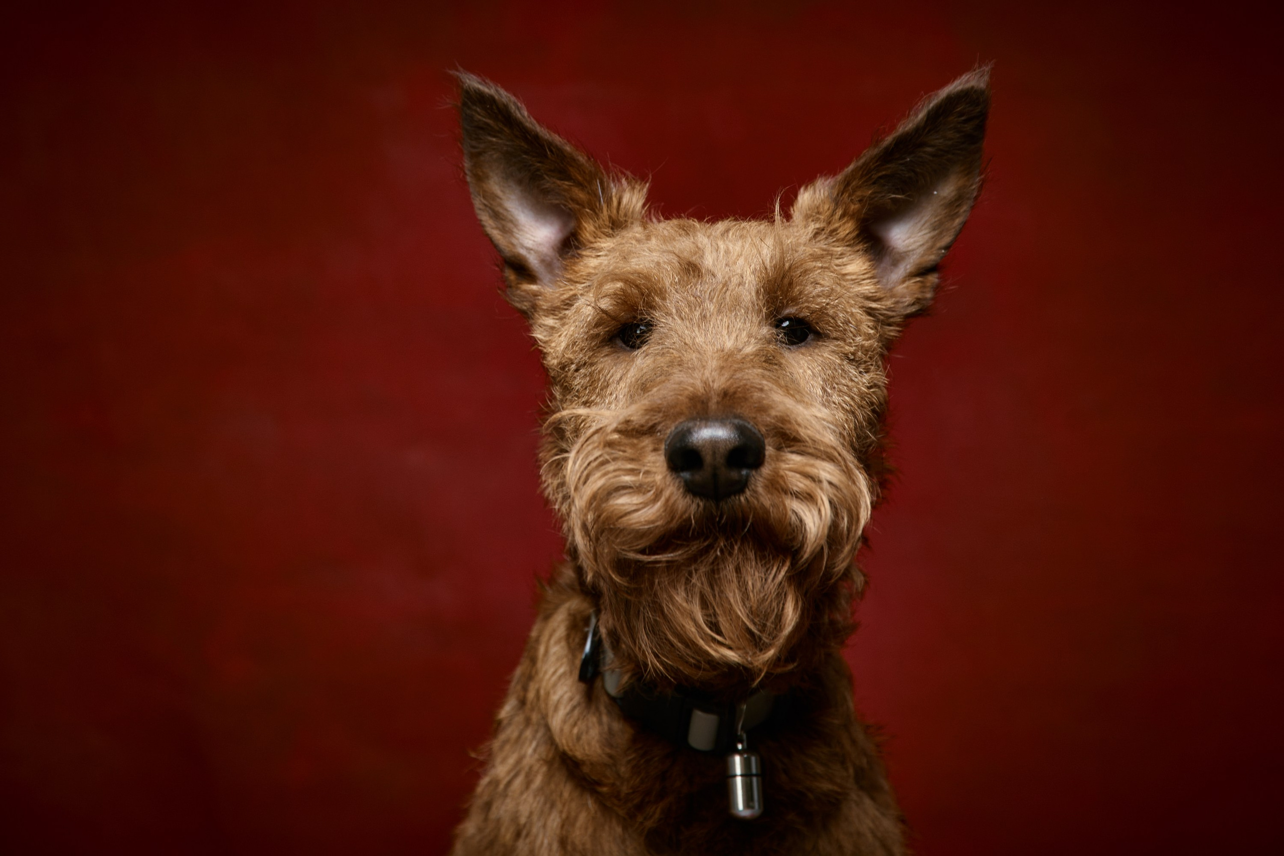 Фотограф Денис Неместо, портрет, репортаж