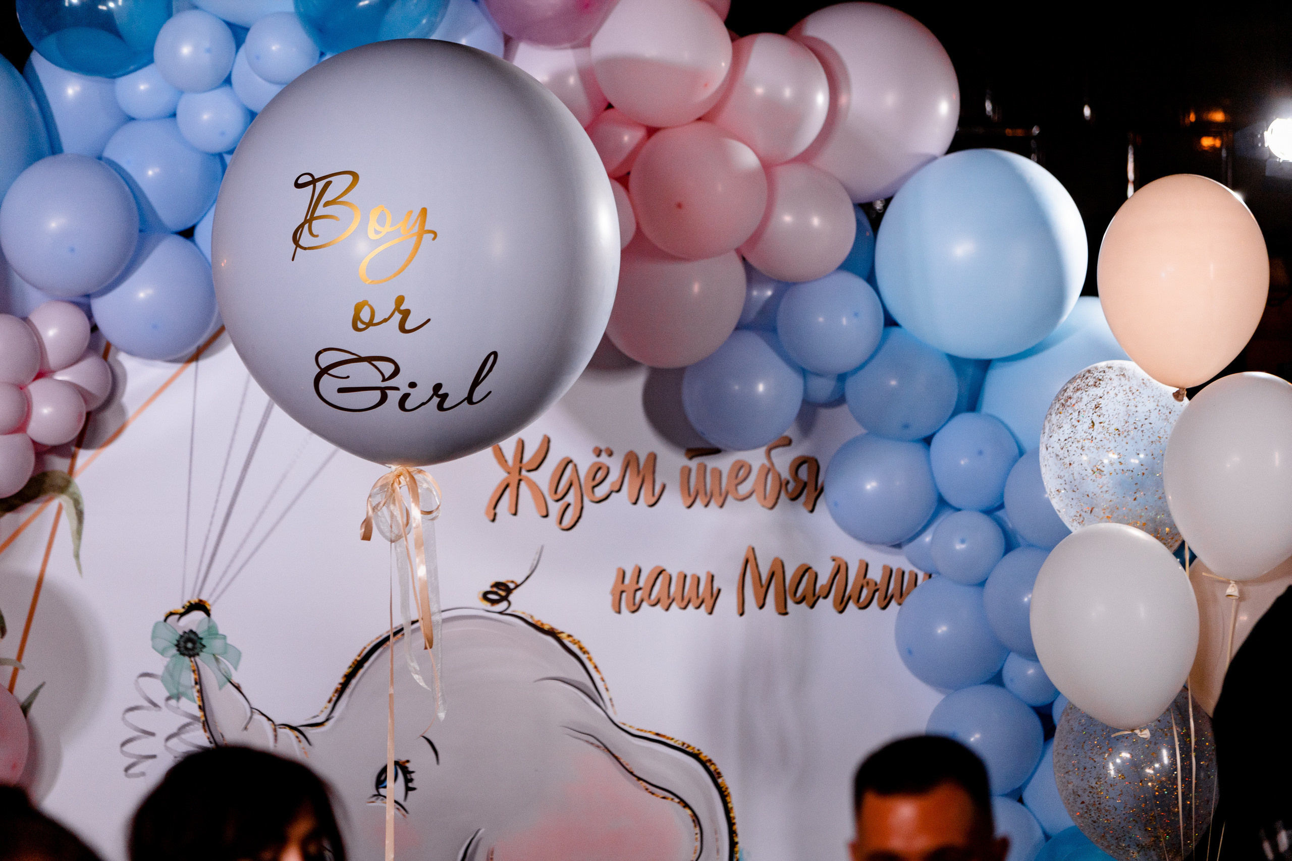 Gender reveal. Павел Шарапов | Фотограф | Москва