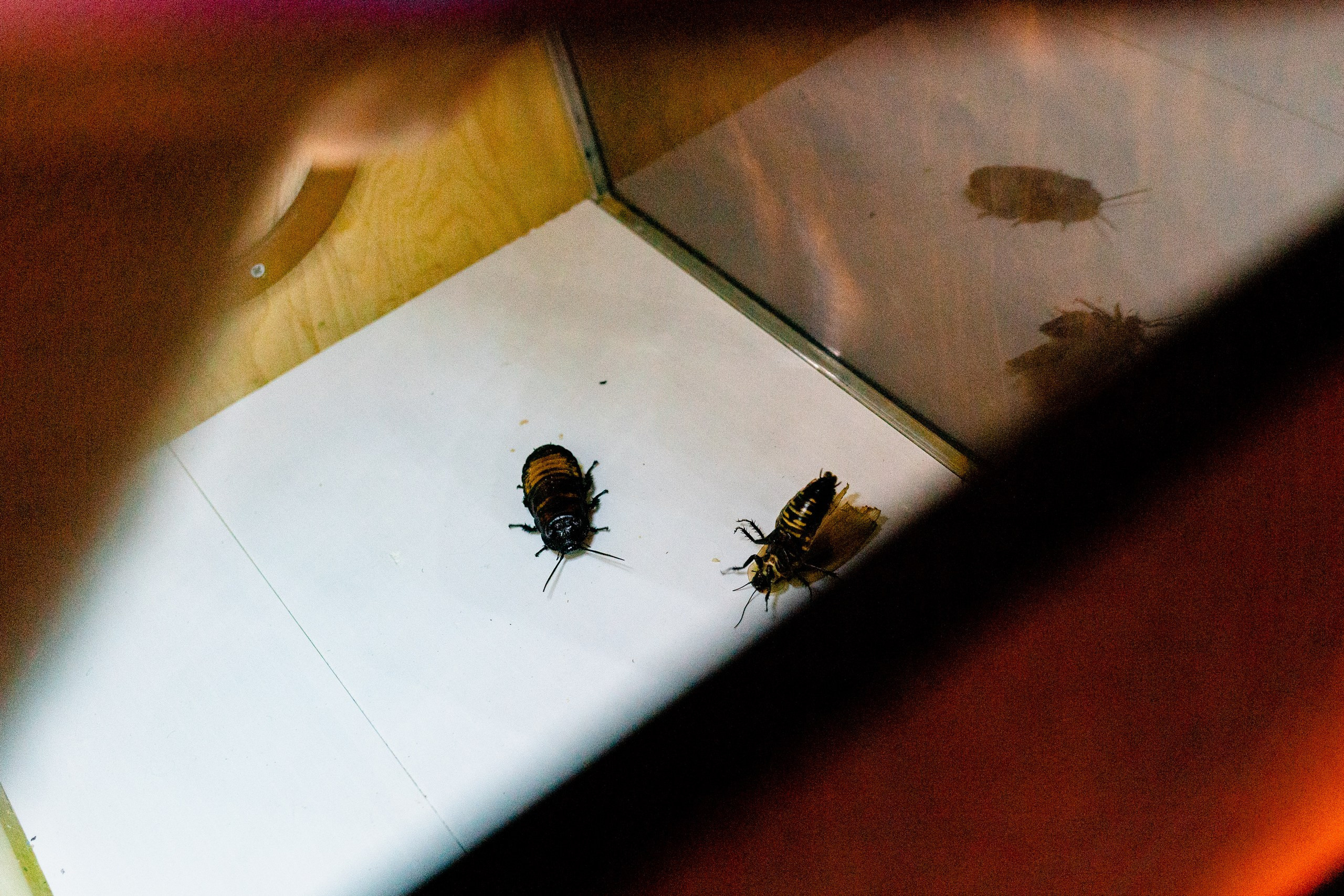 День рождения Димы Красилова. Павел Шарапов | Фотограф | Москва