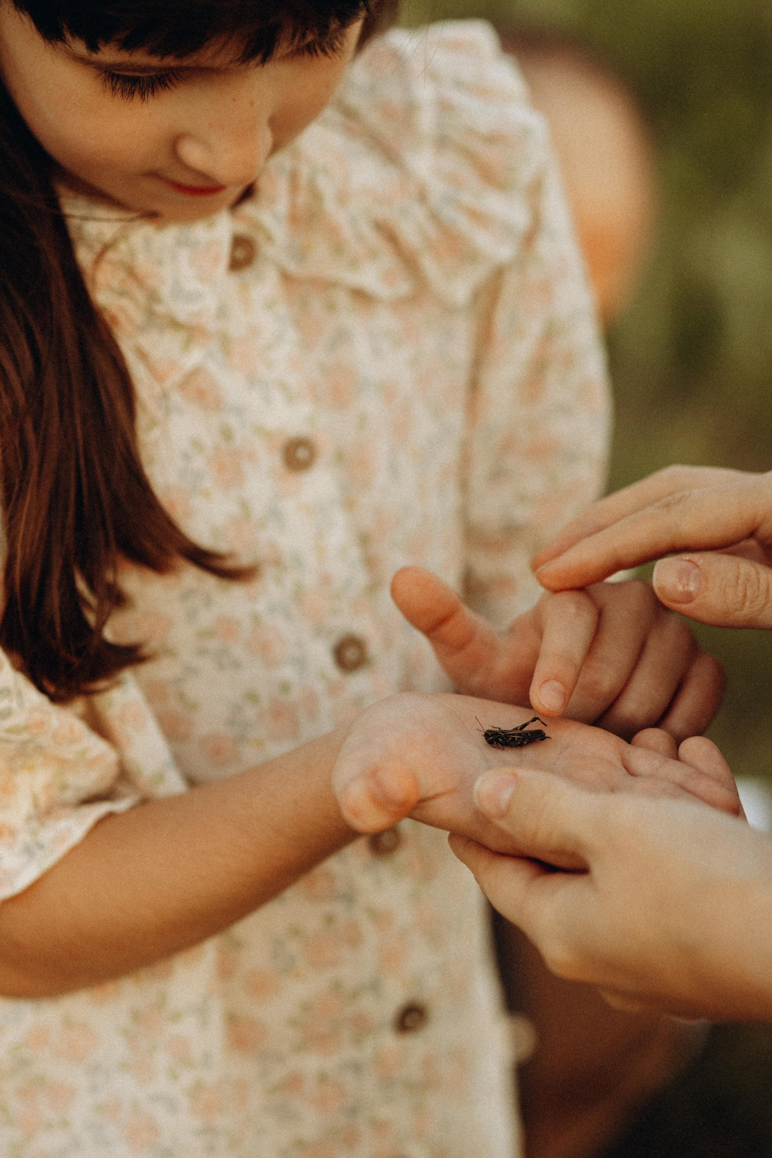В лучах заката. Lifestyle семейный и детский фотограф в Омске Иванова Екатерина
