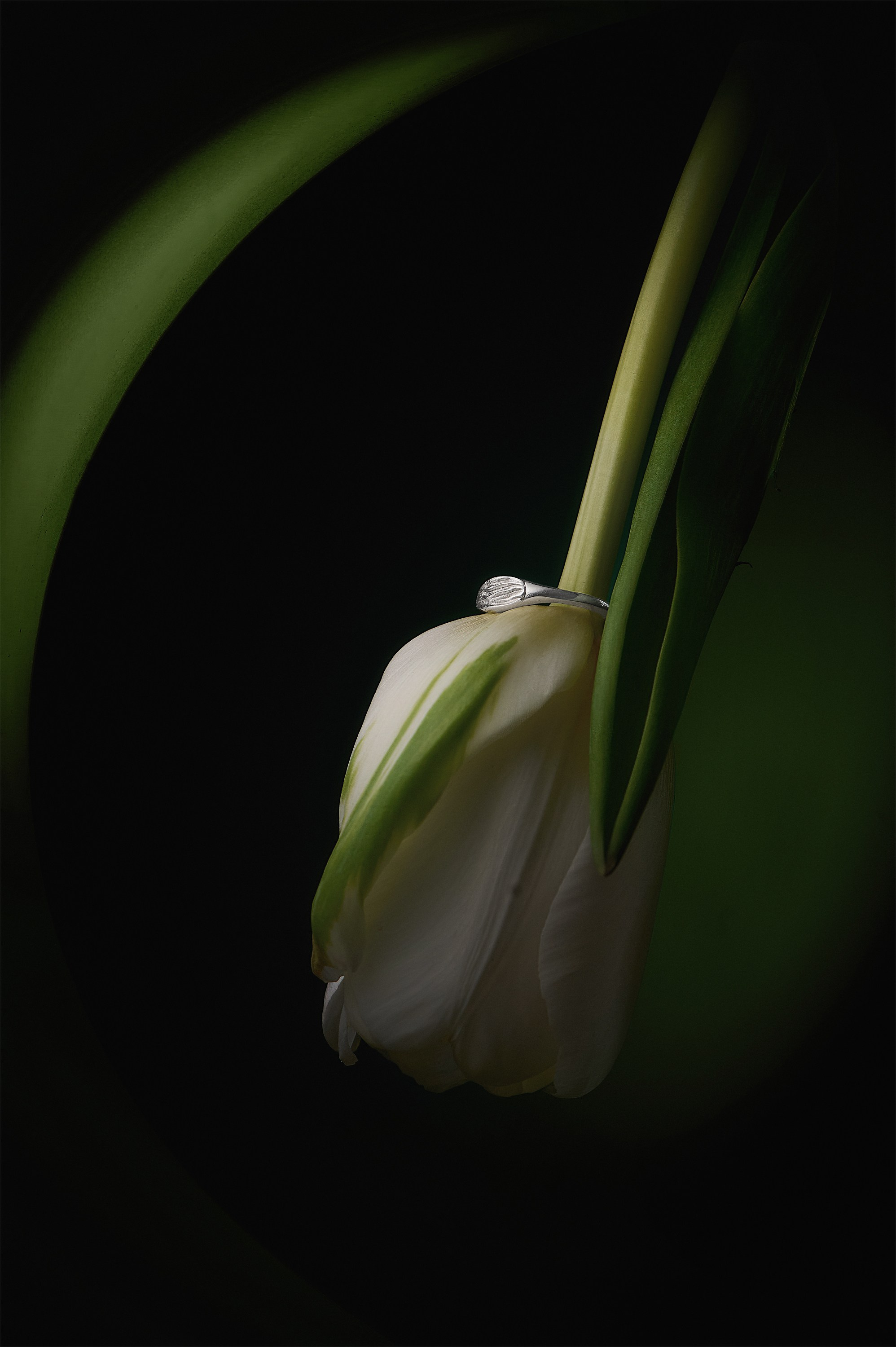 Цветы и украшения. Контент фотограф для бизнеса и маркет-плейсов