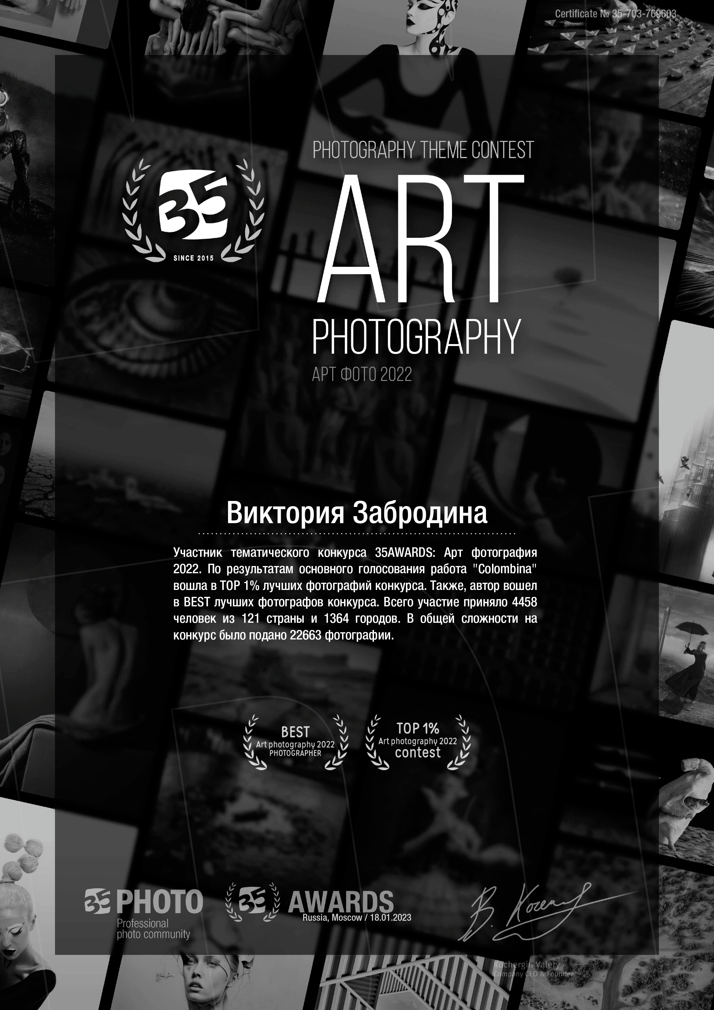 35awards. Арт-фотограф Виктория Забродина