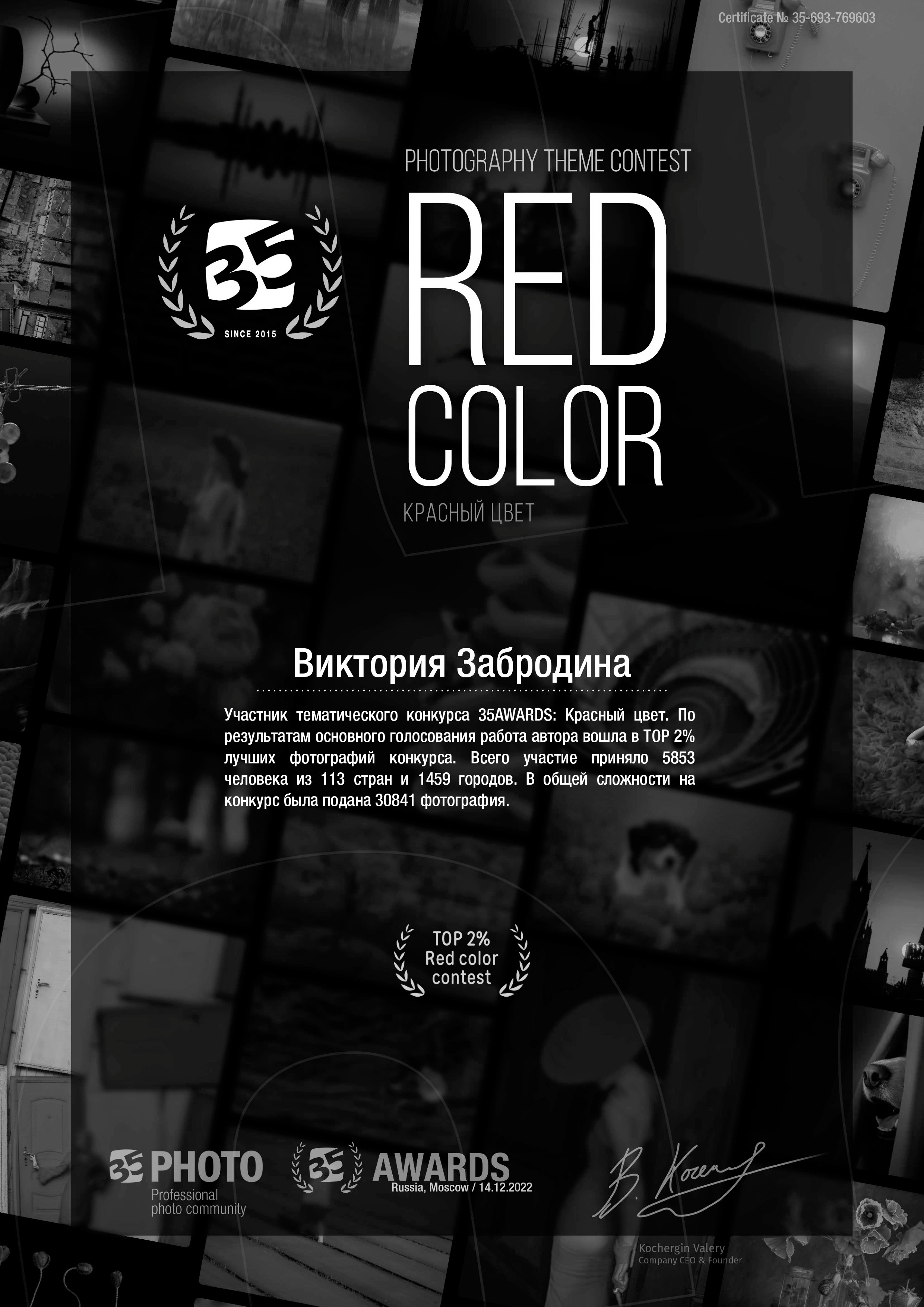 35awards. Арт-фотограф Виктория Забродина