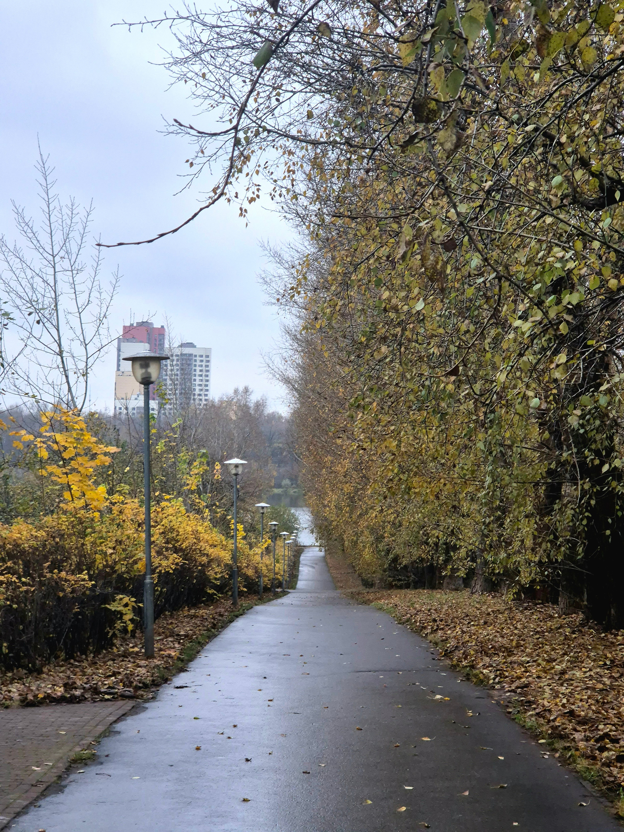 И днем осенние парки так же уютны