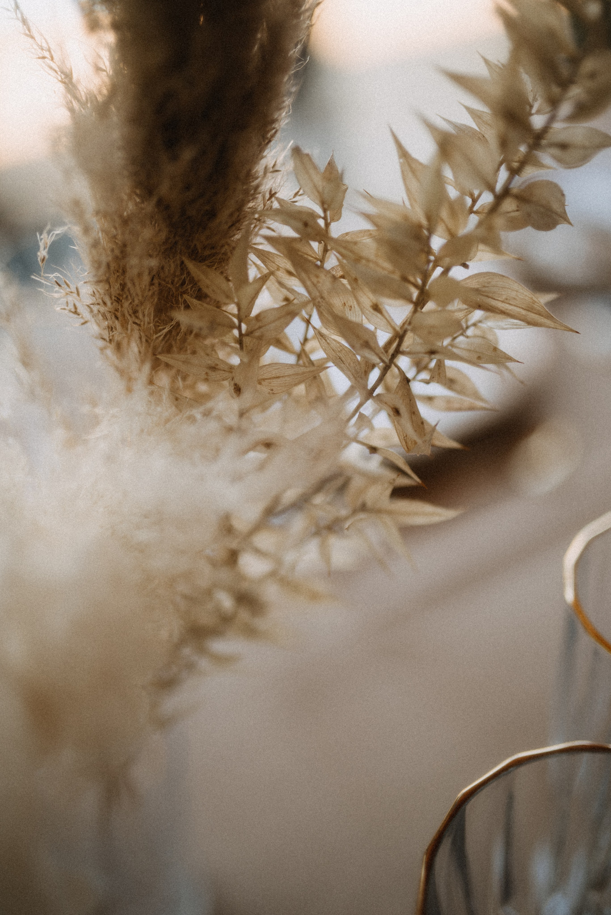 Девичник Виктории | Южная Озереевка. Фотограф Санкт-Петербург, Новороссийск