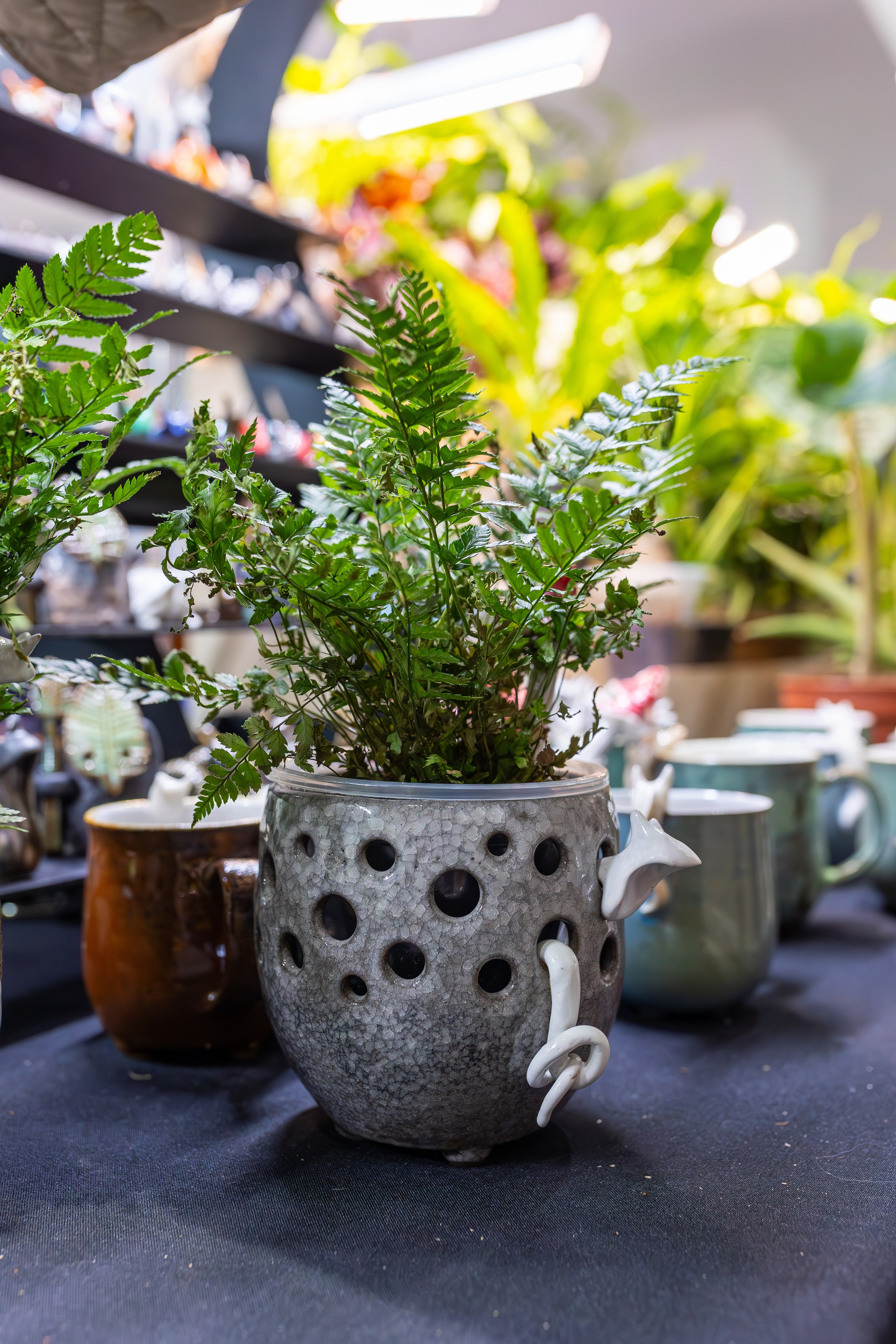 Монстериум 11–12 октября. Александра Куликова фотограф, Москва