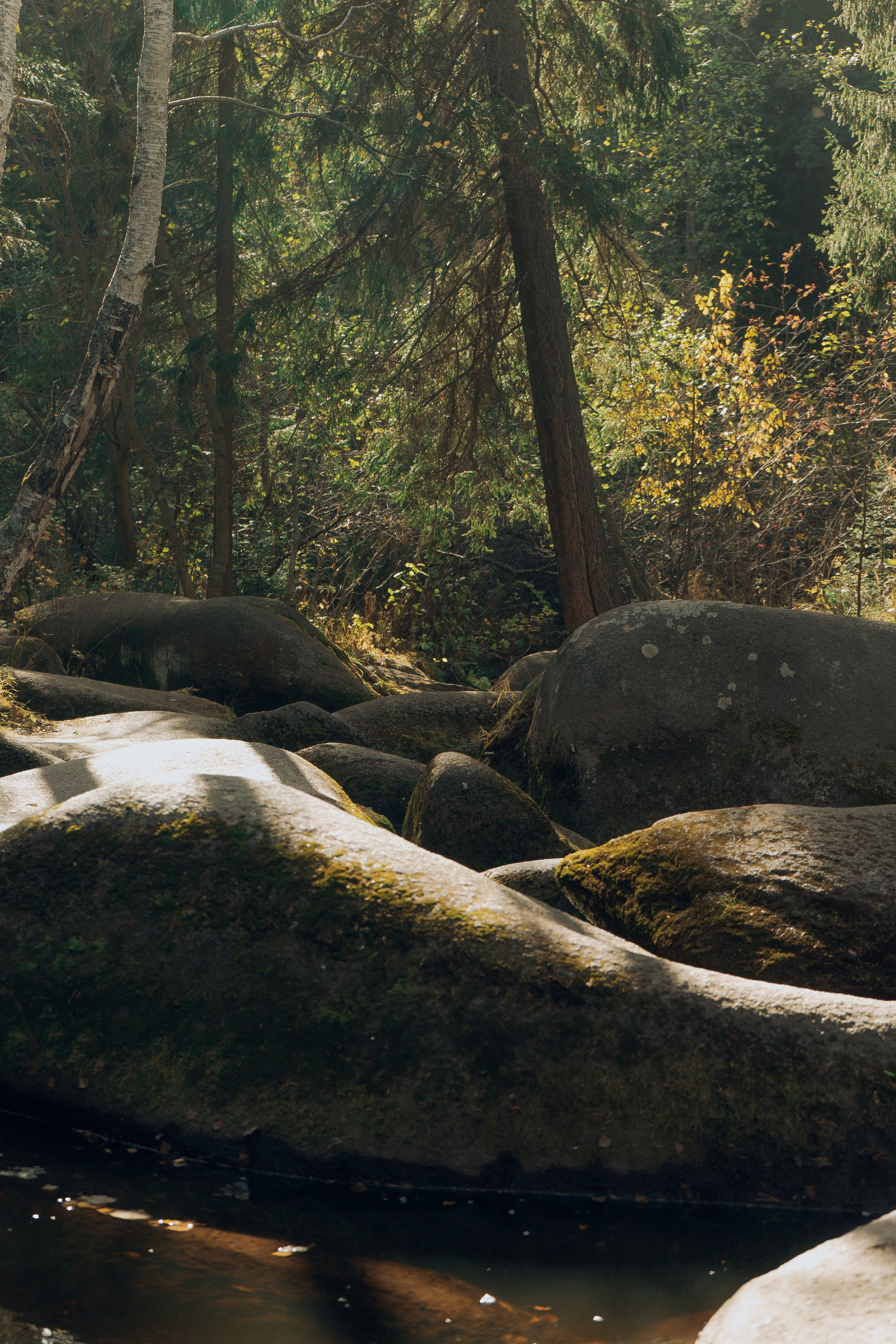 Поход на Соколиный камень. Денис Марков — фотограф в Екатеринбурге