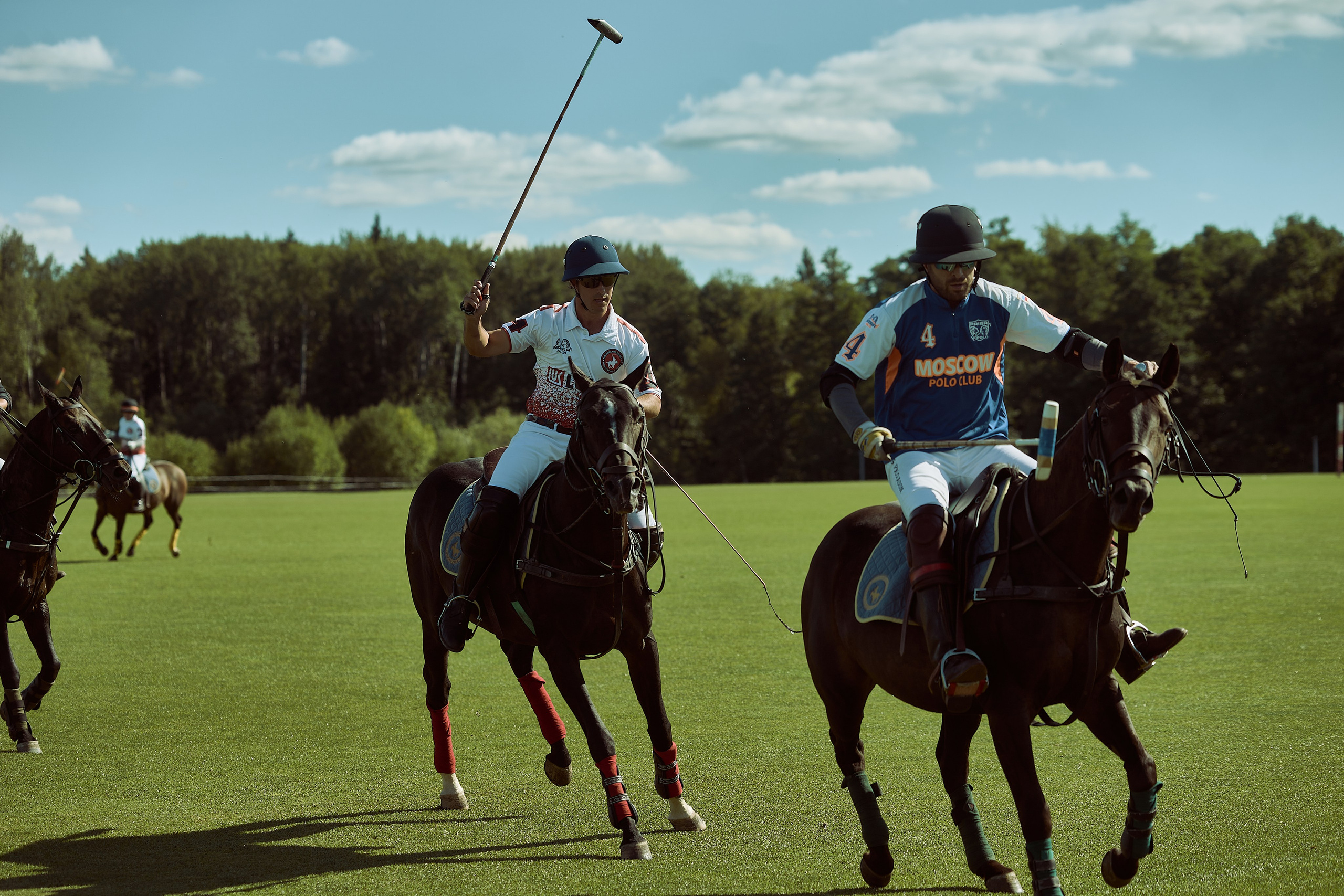 HORSE POLO. Фотограф Наталья Леонова