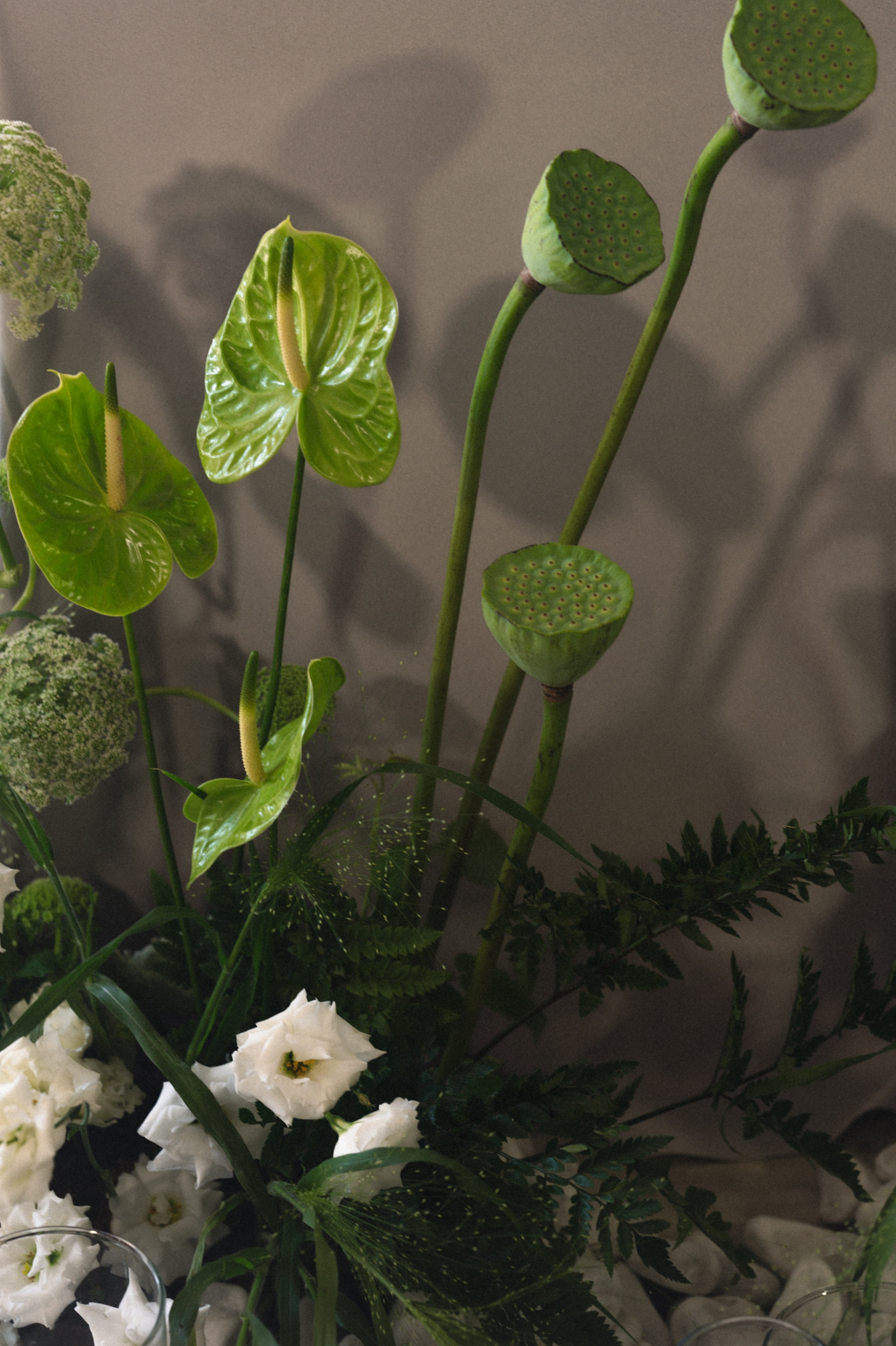 Мария и Никита. Бунгало в Москве.Аренда Бунгало в Мск