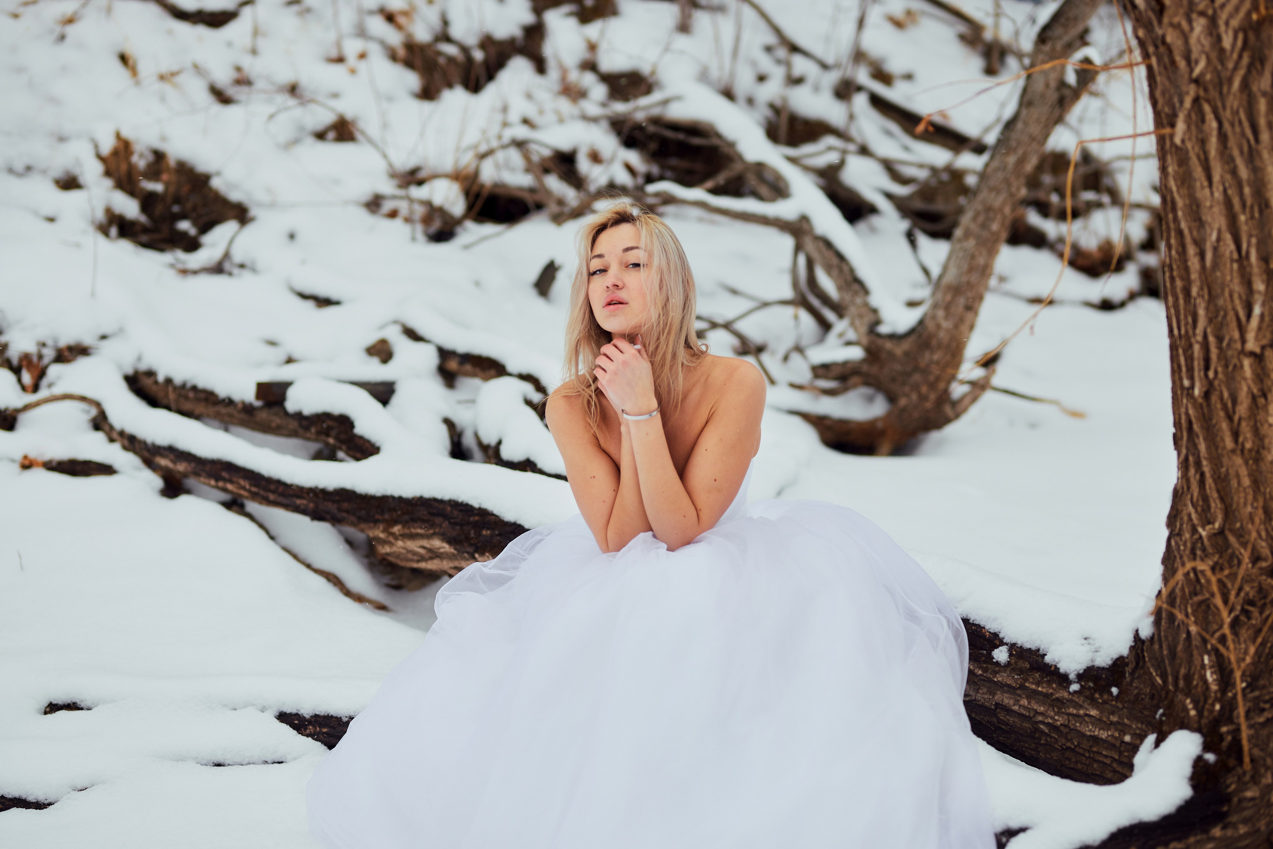 Сбежавшая невеста. Сергей Ирклиенко