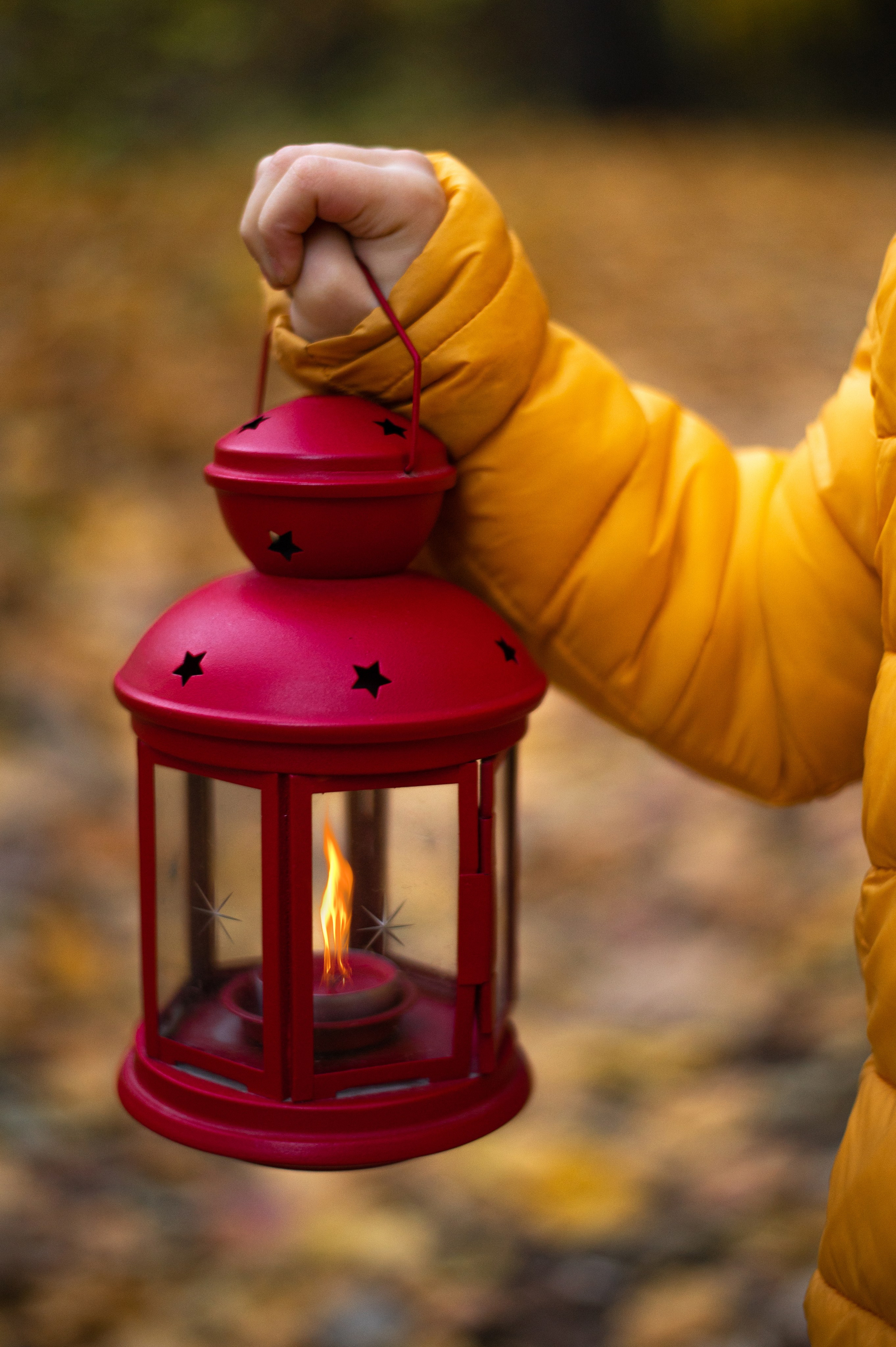 Осень в Шуваловском парке. Фотограф Санкт-Петербург | Дарья Першина