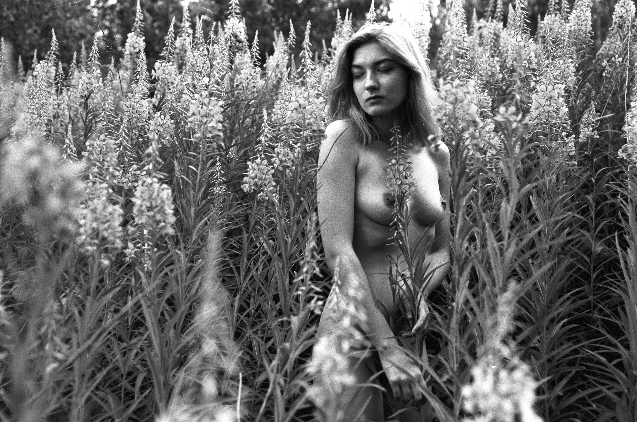 Иван-чай. Фотограф в Санкт-Петербурге Березовский Даниил