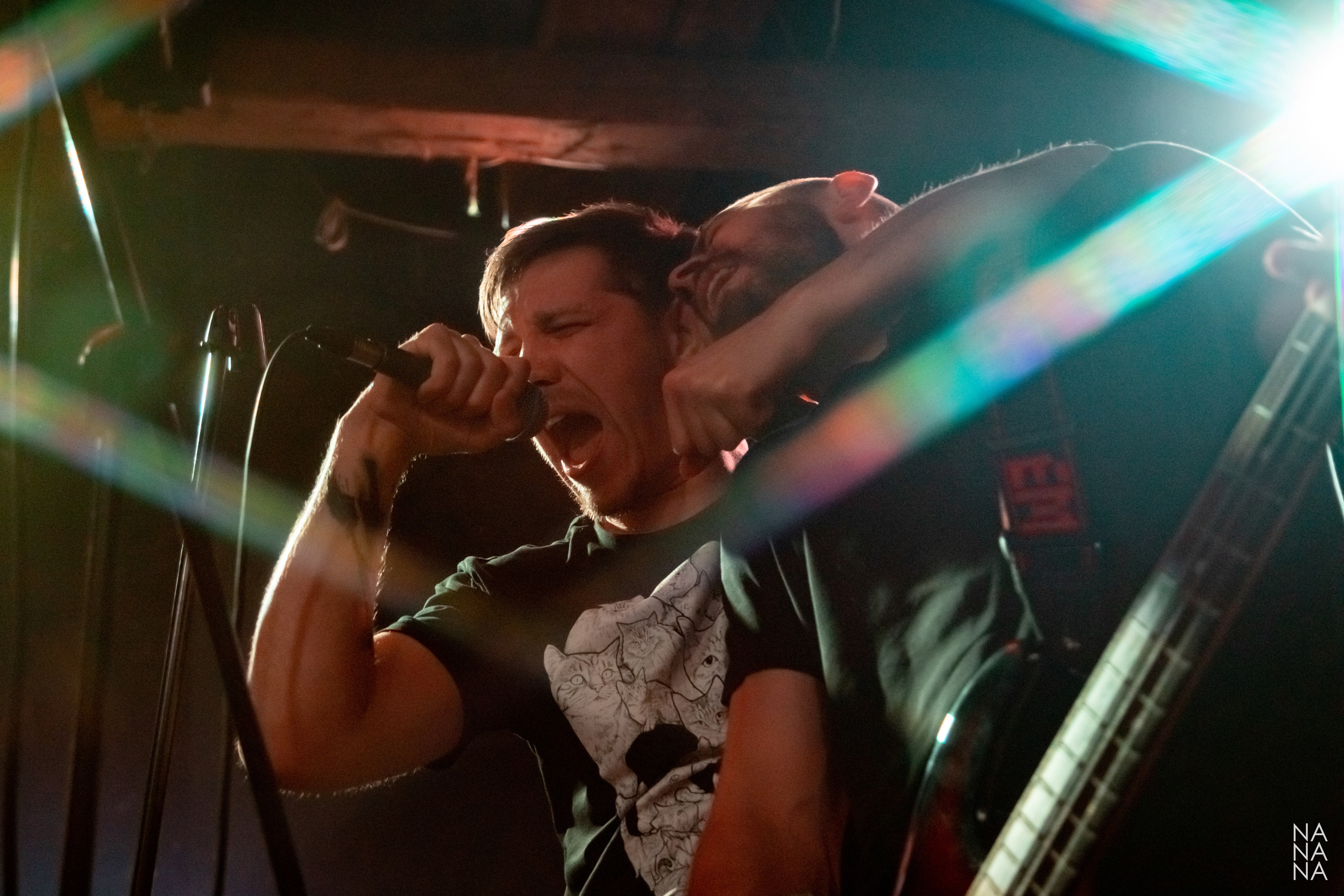 МАНЕКЕНЫ. Фотограф Елена Богачева (lenalena_na_na_na)