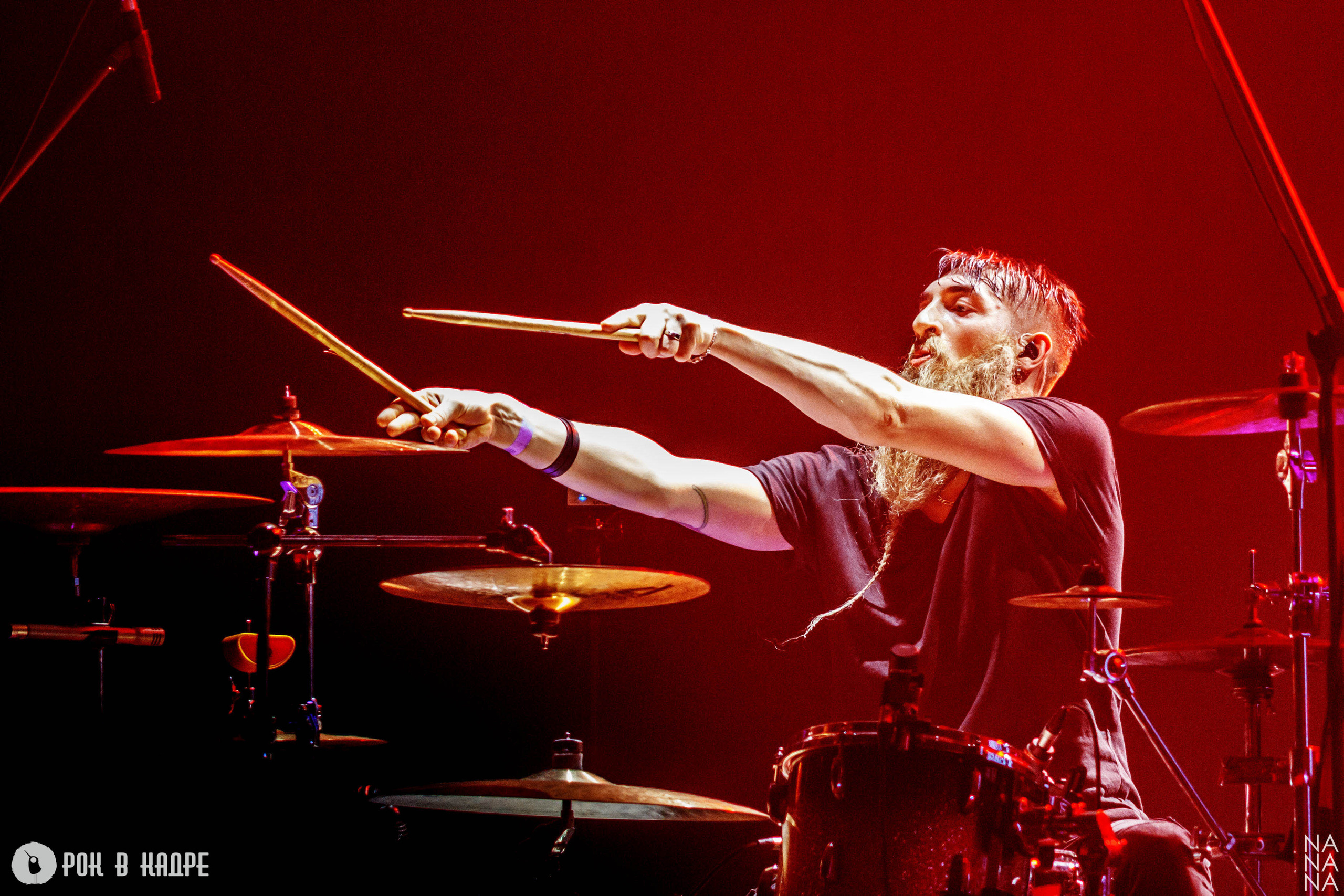 Услуги. Фотограф Елена Богачева (lenalena_na_na_na)