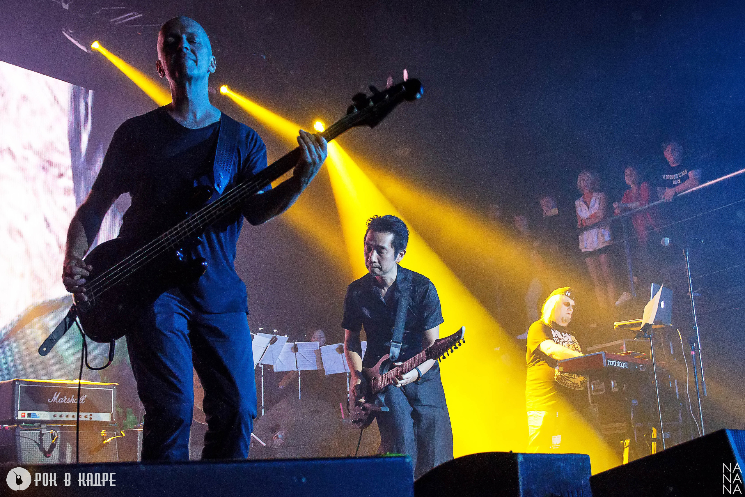 Услуги. Фотограф Елена Богачева (lenalena_na_na_na)