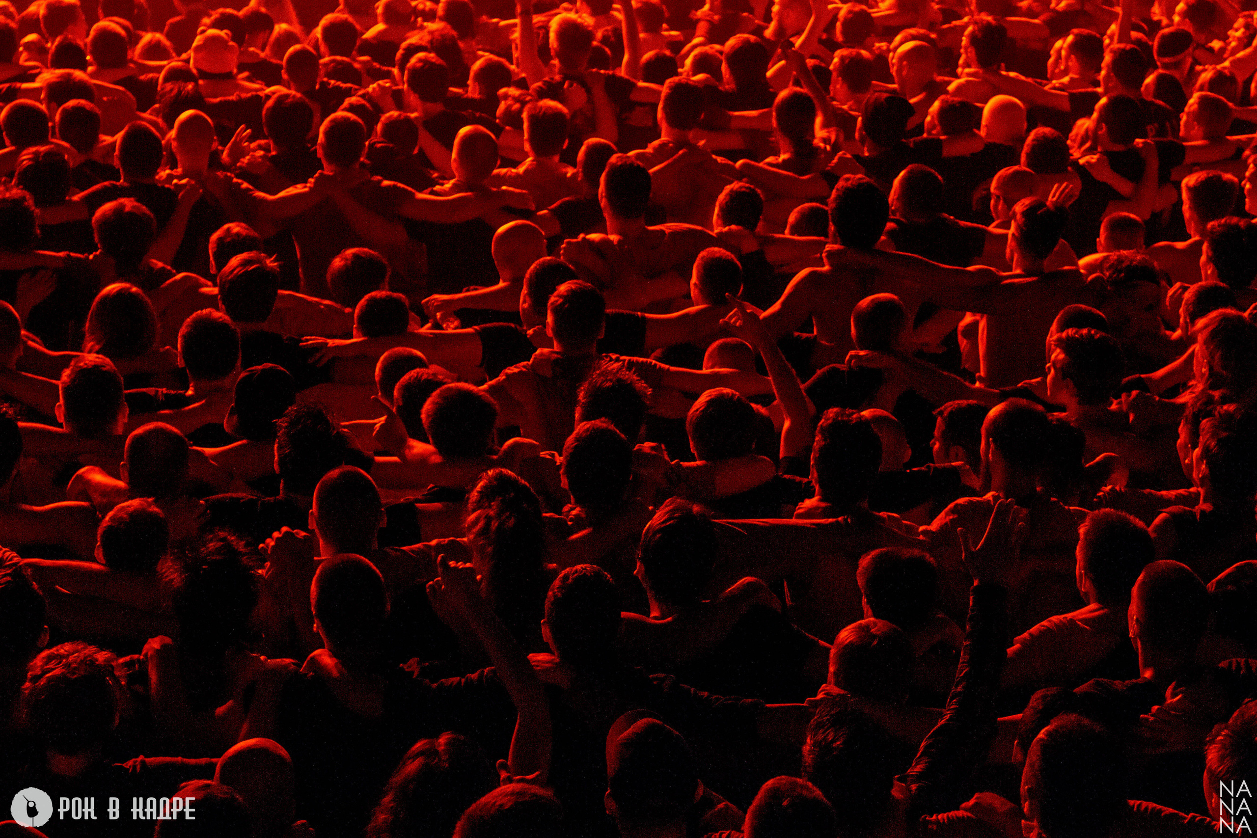 Услуги. Фотограф Елена Богачева (lenalena_na_na_na)