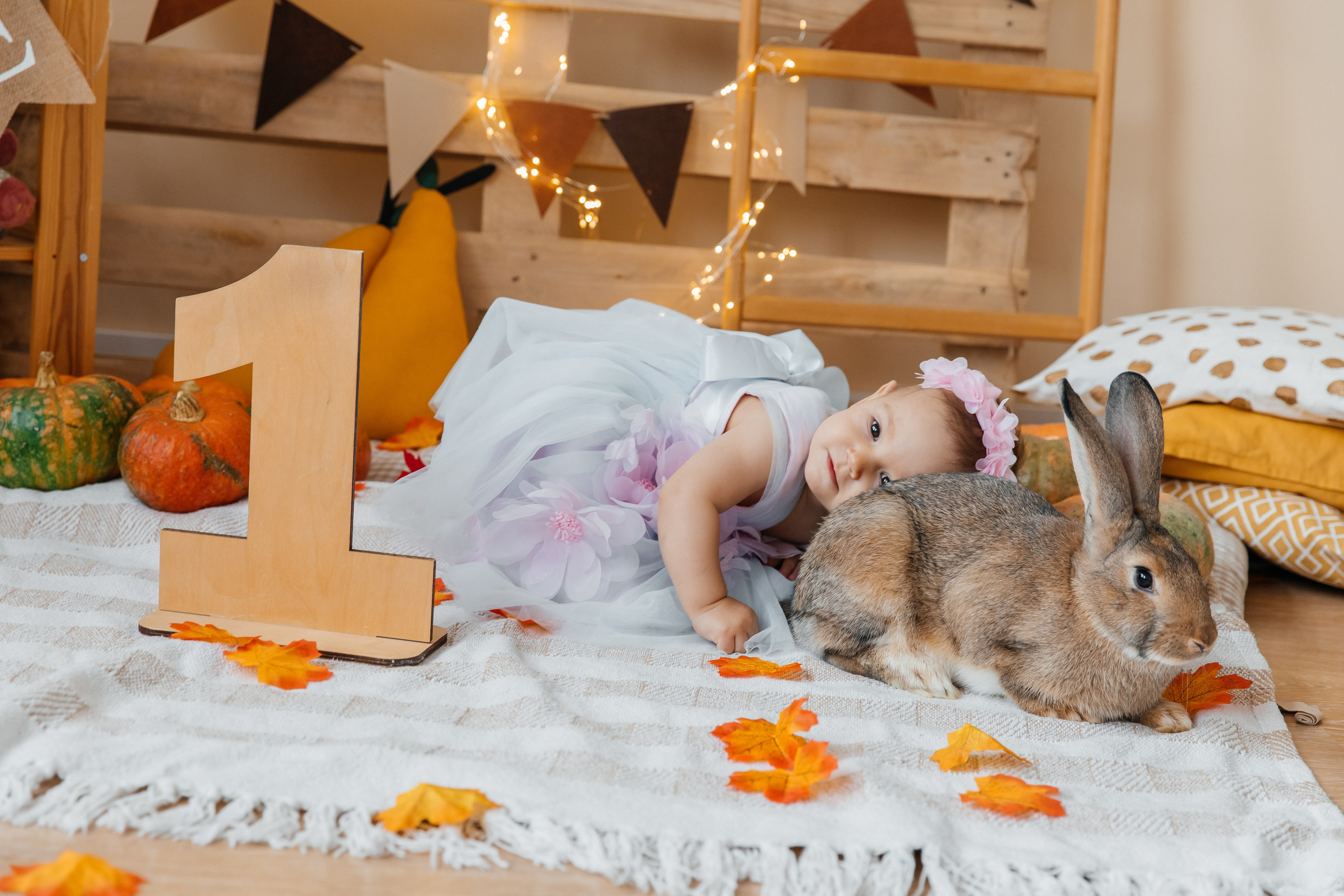 Краски осени. Фотограф в Омске