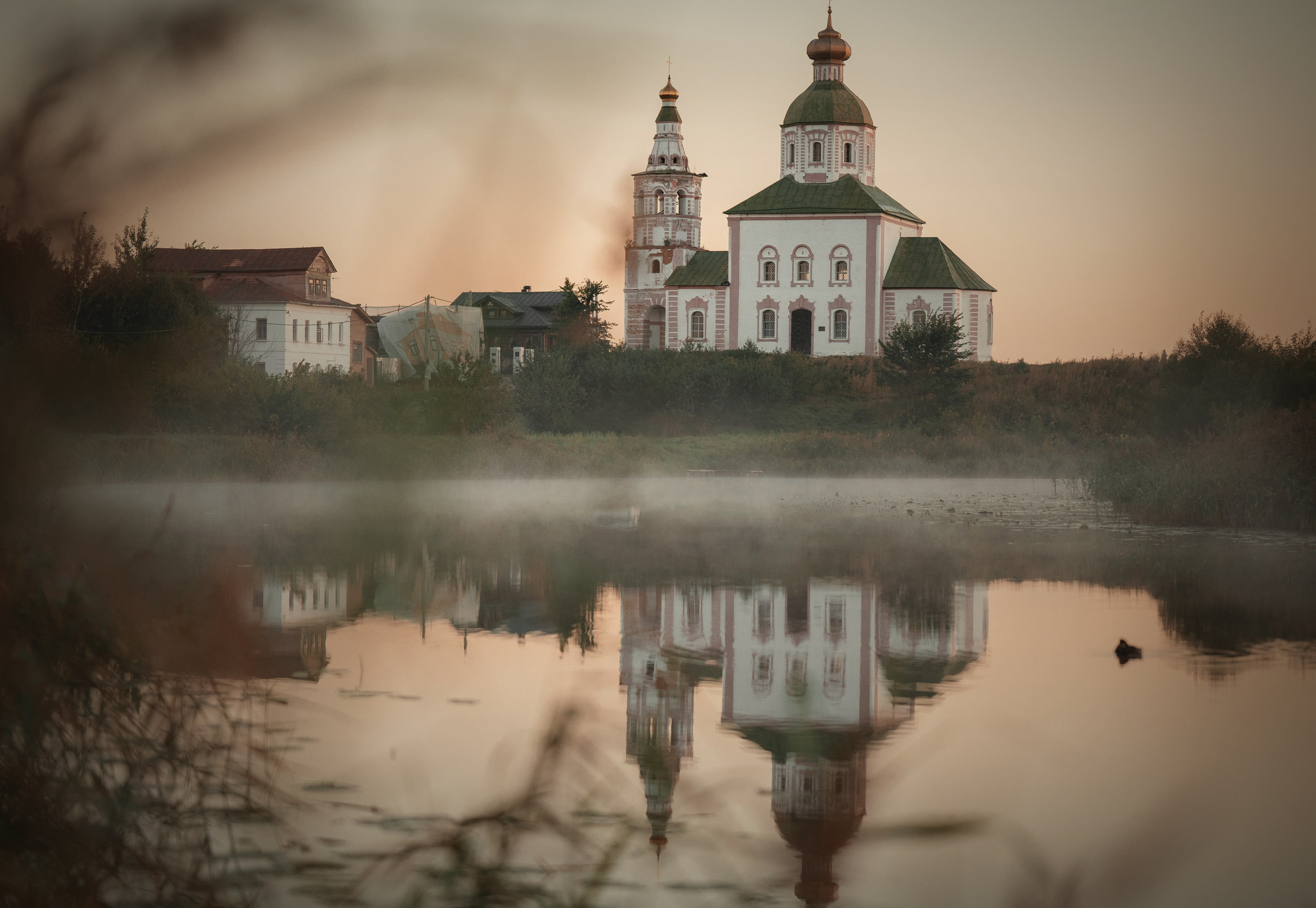 Ольга. Детский и семейный фотограф