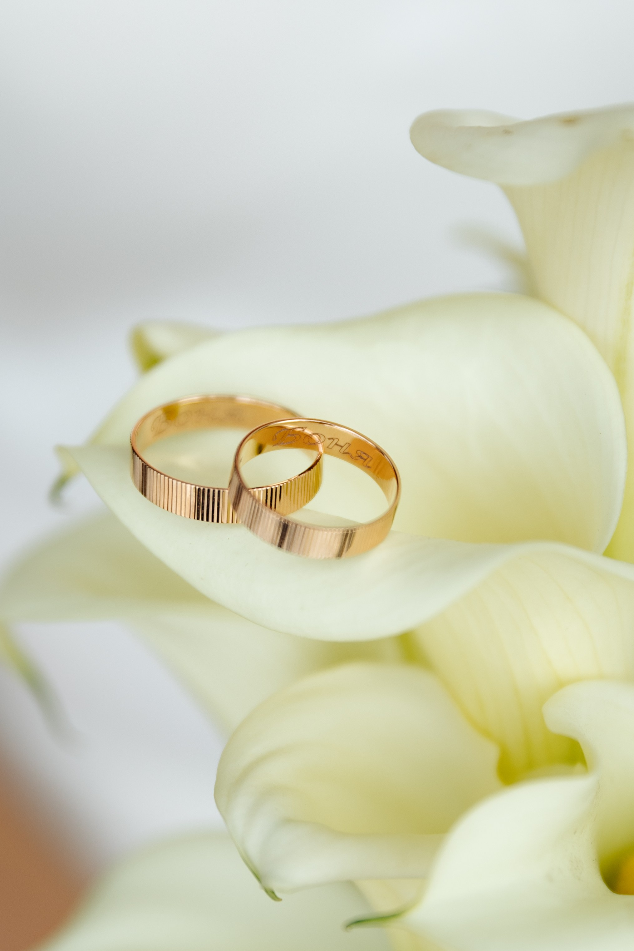 Э & V. Фотограф Дзюба Марина. Свадебный фотограф