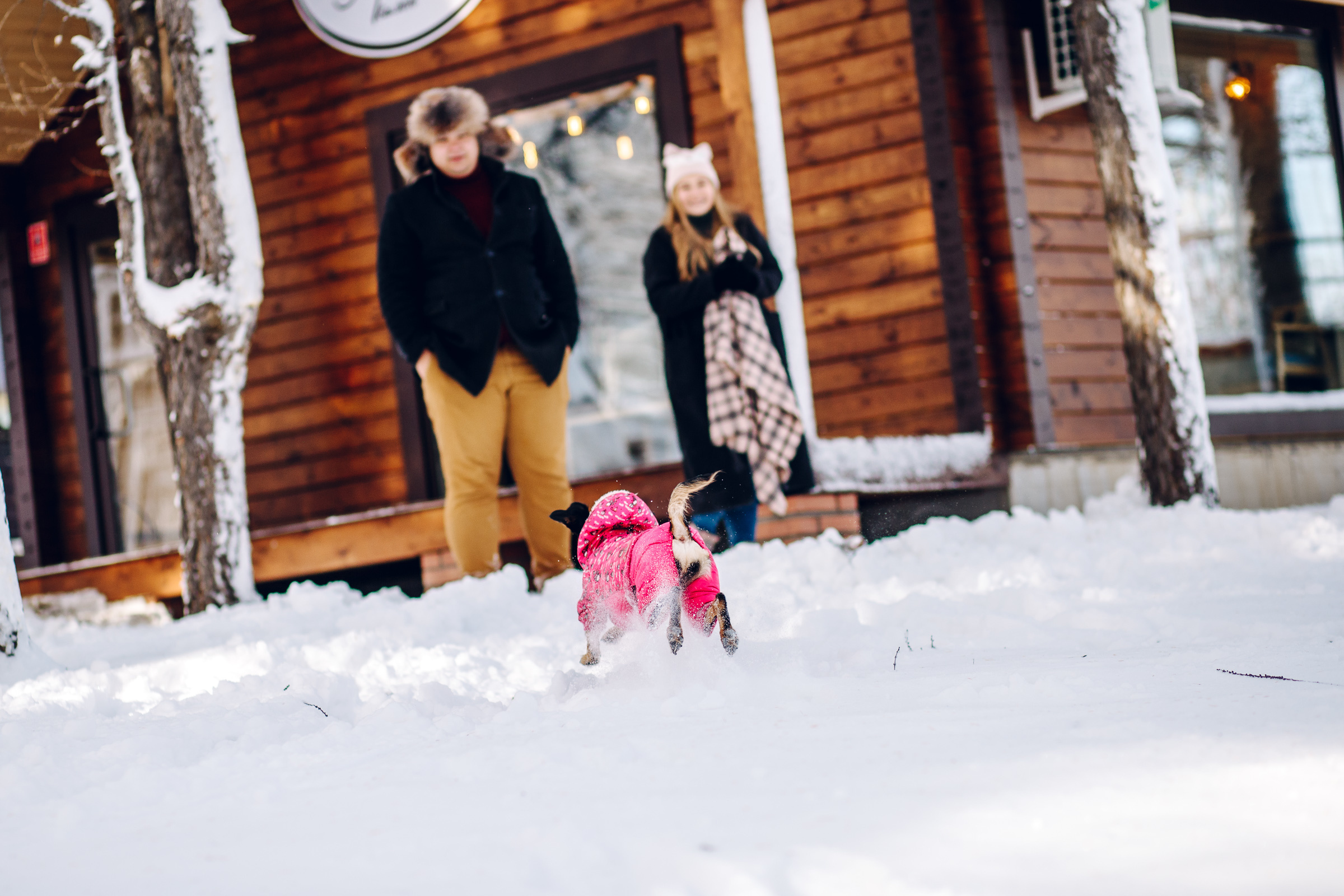 Денис и Дарья. Свадебный и семейный фотограф в Магнитогорске Дмитрий Ивлев