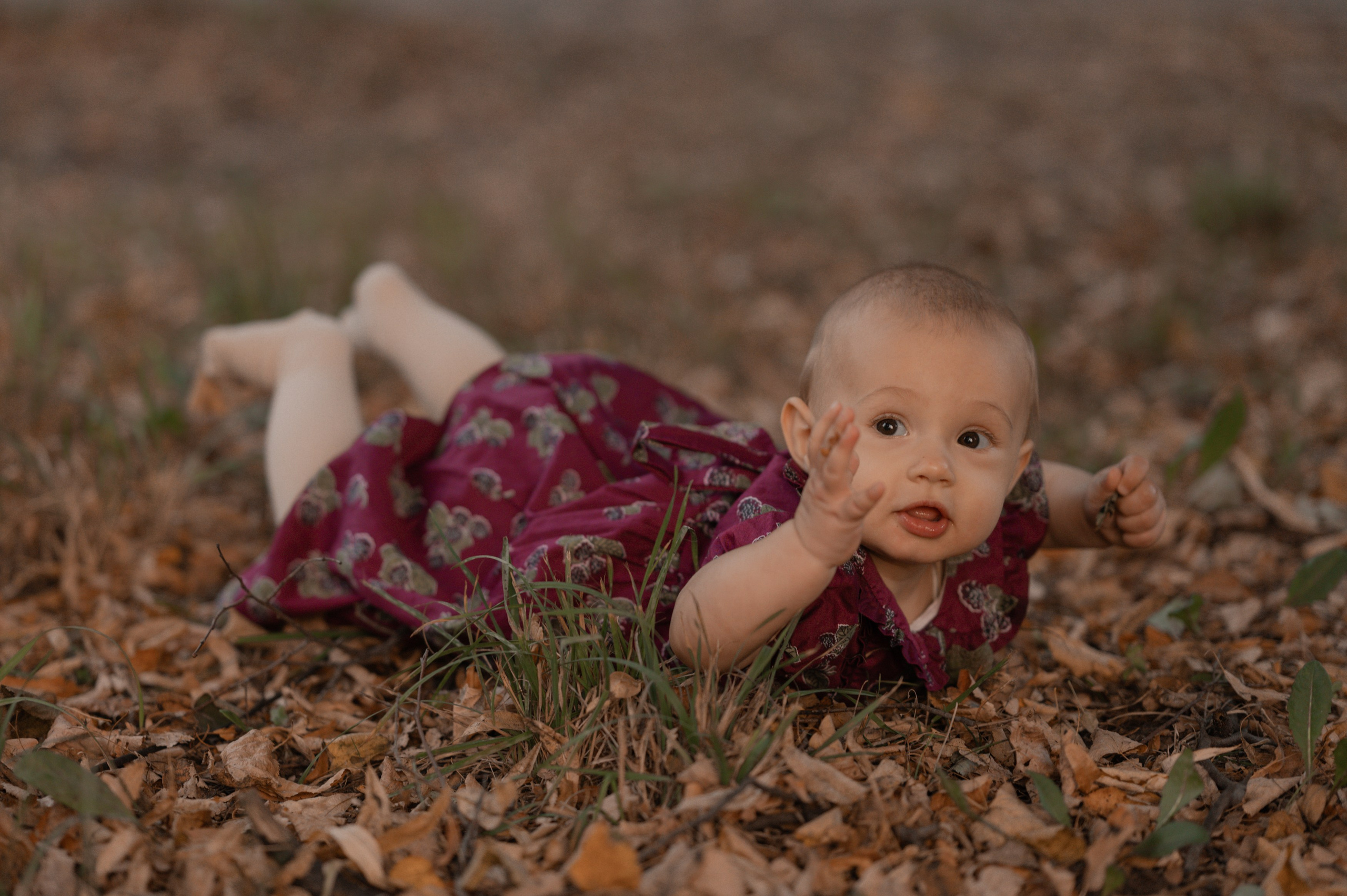 Осень. Фотограф Ким Ангелина