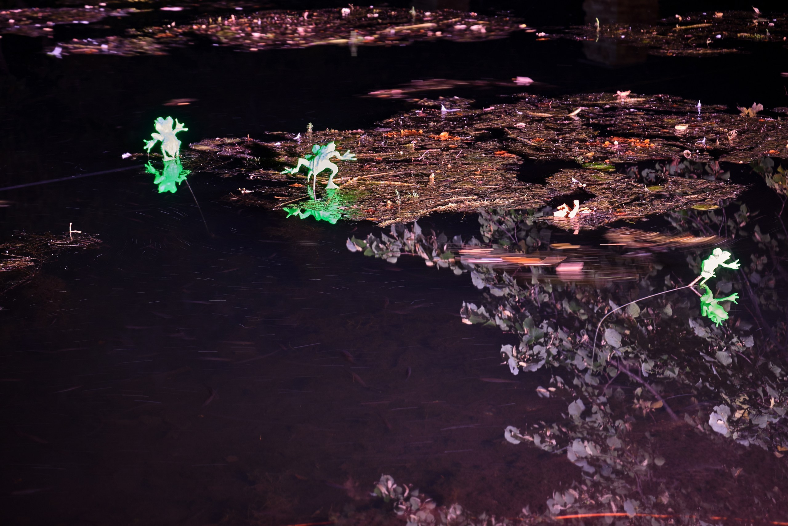 Фестиваль Ночь Света 2019 год. Иван Ступа, репортажный фотограф в Санкт-Петербурге и Ленинградской области