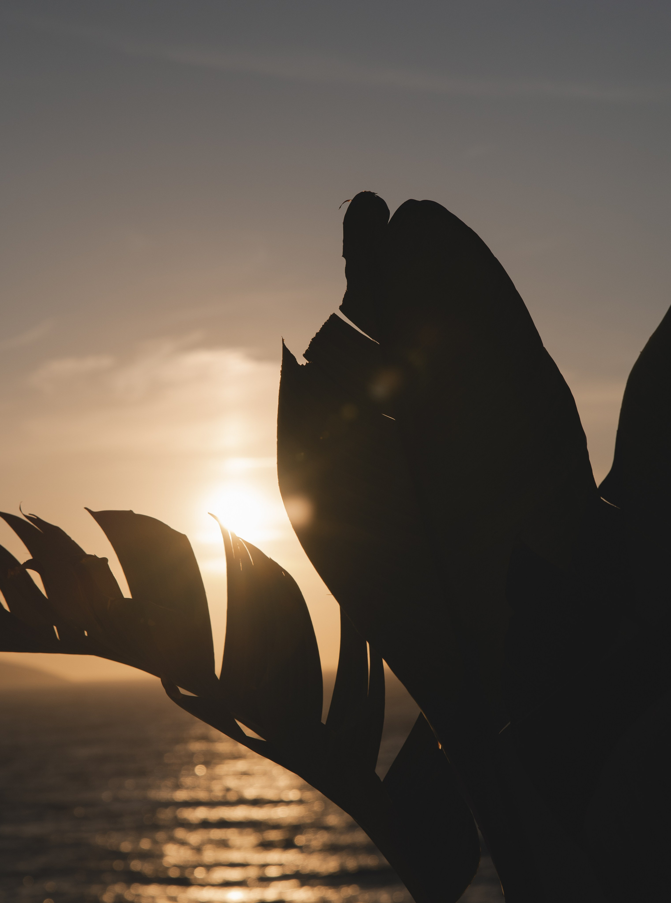 Если это то самое — впереди вся жизнь