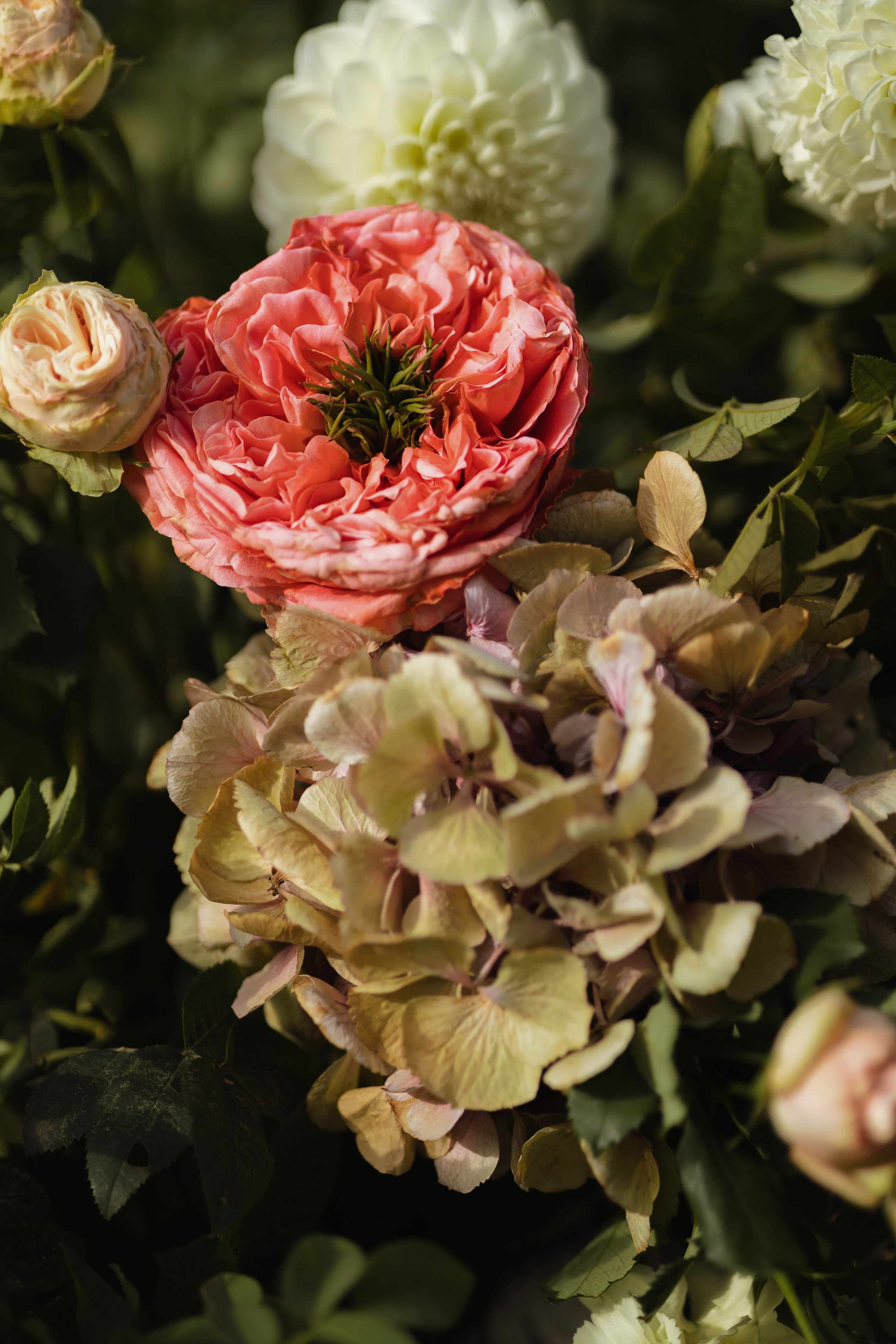 S&E. Свадебный фотограф Лиза Макатович Беларусь Минск