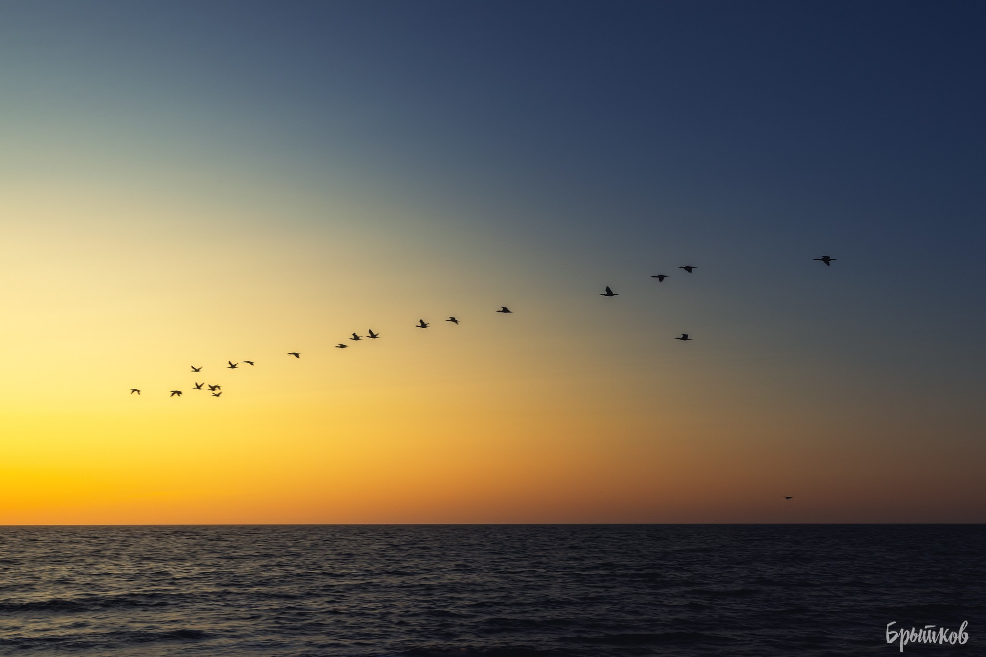 Севастополь. Николай Брытков — фотограф в Туле