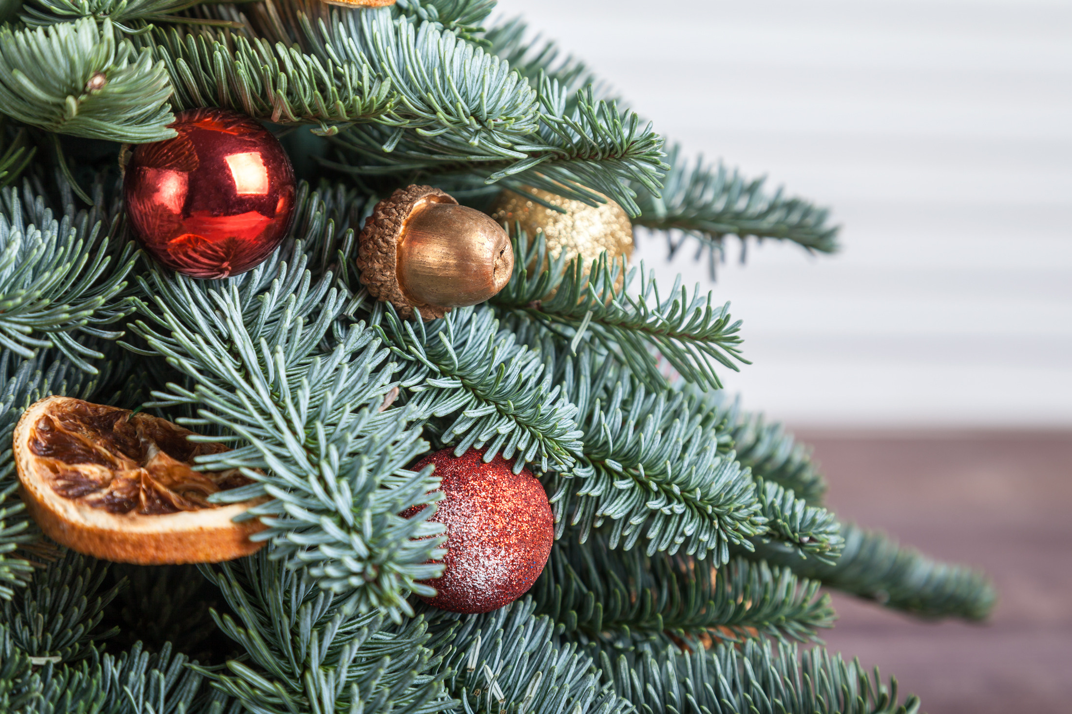 Новогодняя елка. Флорист Маргарита Гладкова