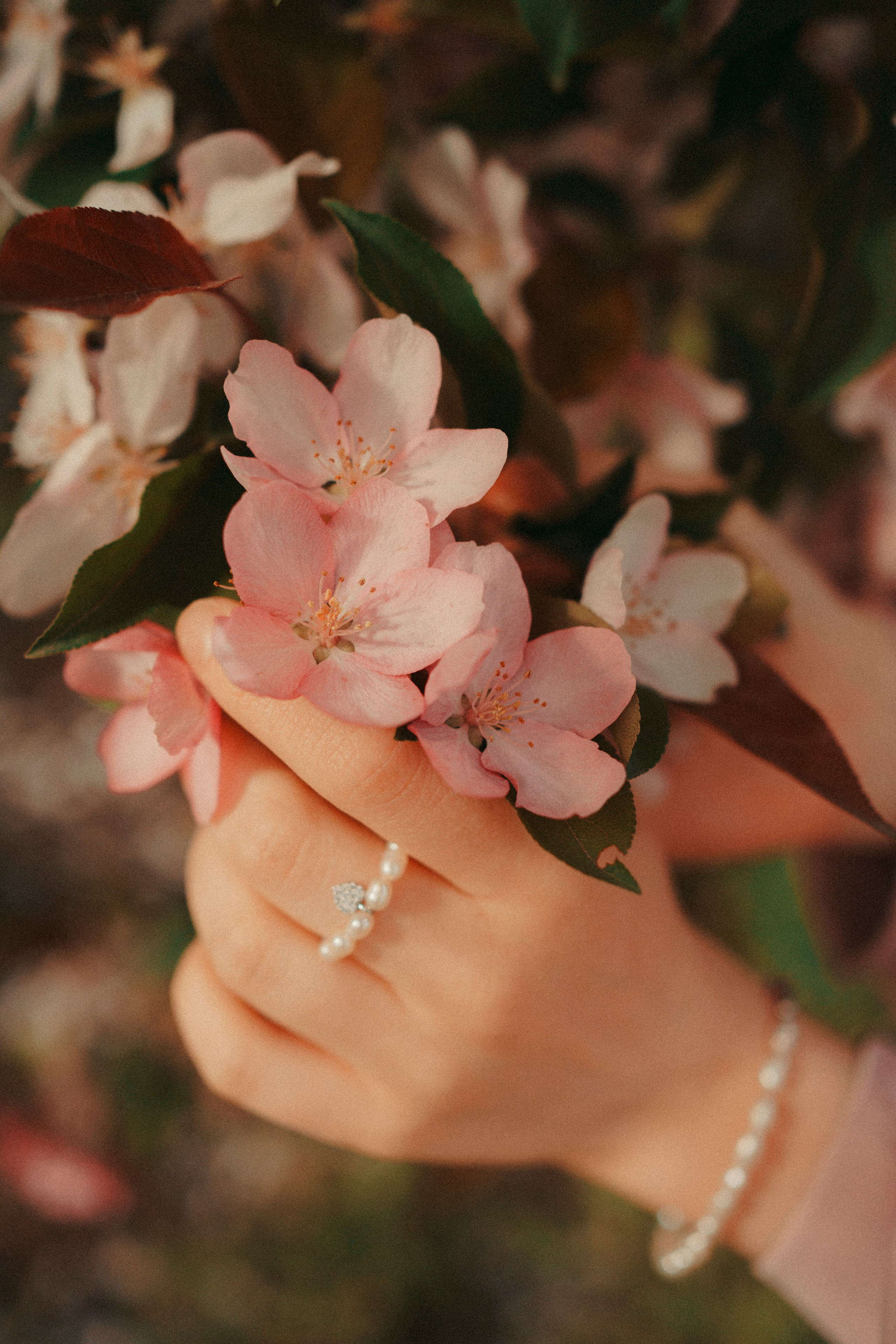 Цветочная история. Портретный фотограф в Казани, Красной Поляне и Сочи Анна Кузнецова