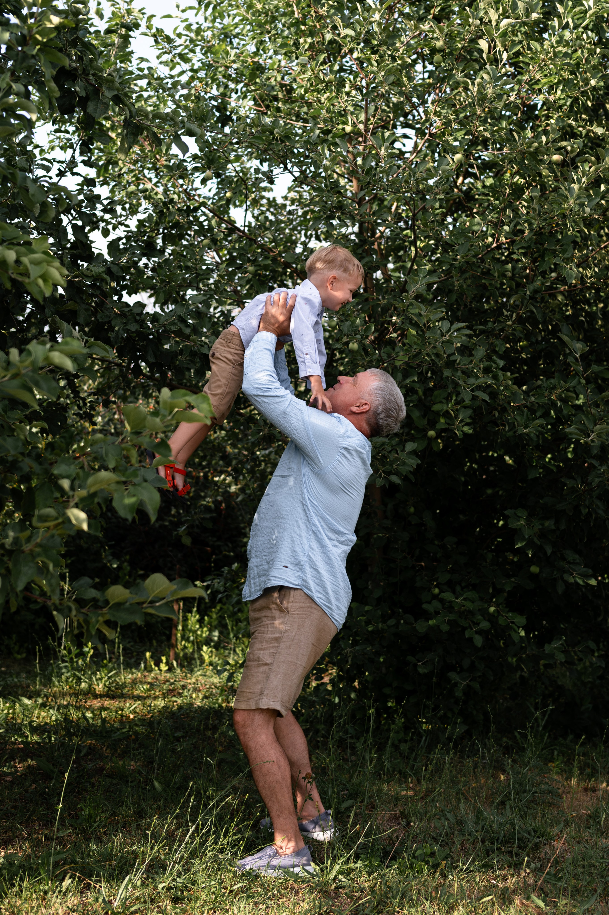 Ромашки и утята. Главная