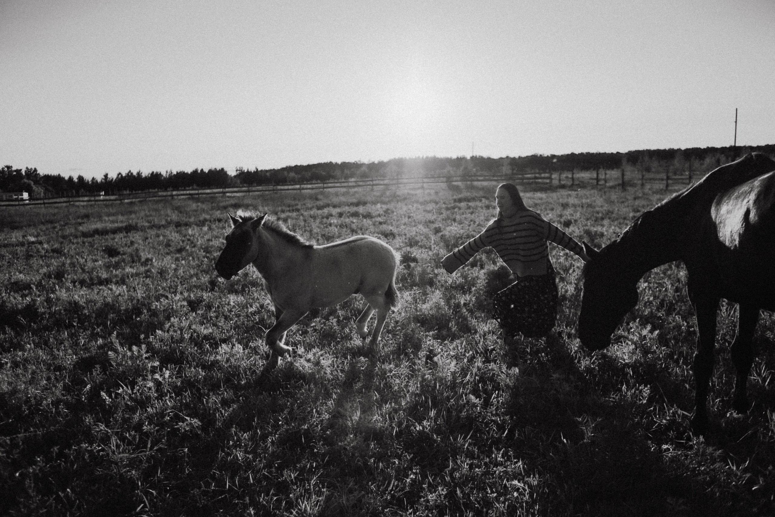 Варвара. Лошади. Закат. Фотограф в Нижнем Новгороде