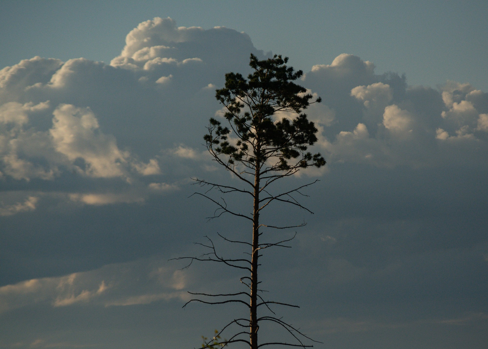 Разное. Репортажный фотограф г. Чита