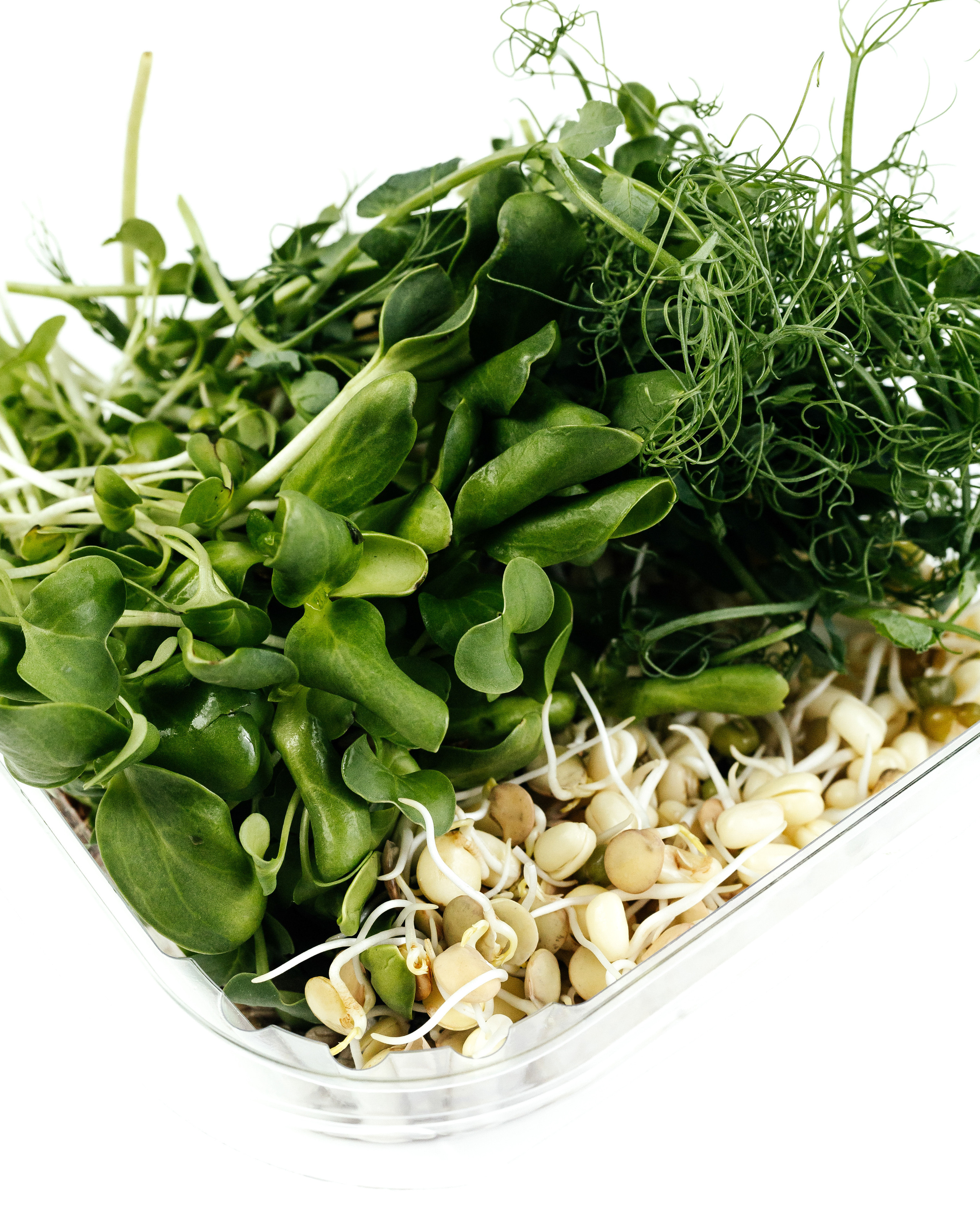 Добавим зелени. Контент фотограф в Ростове-на-Дону Мардус Павел