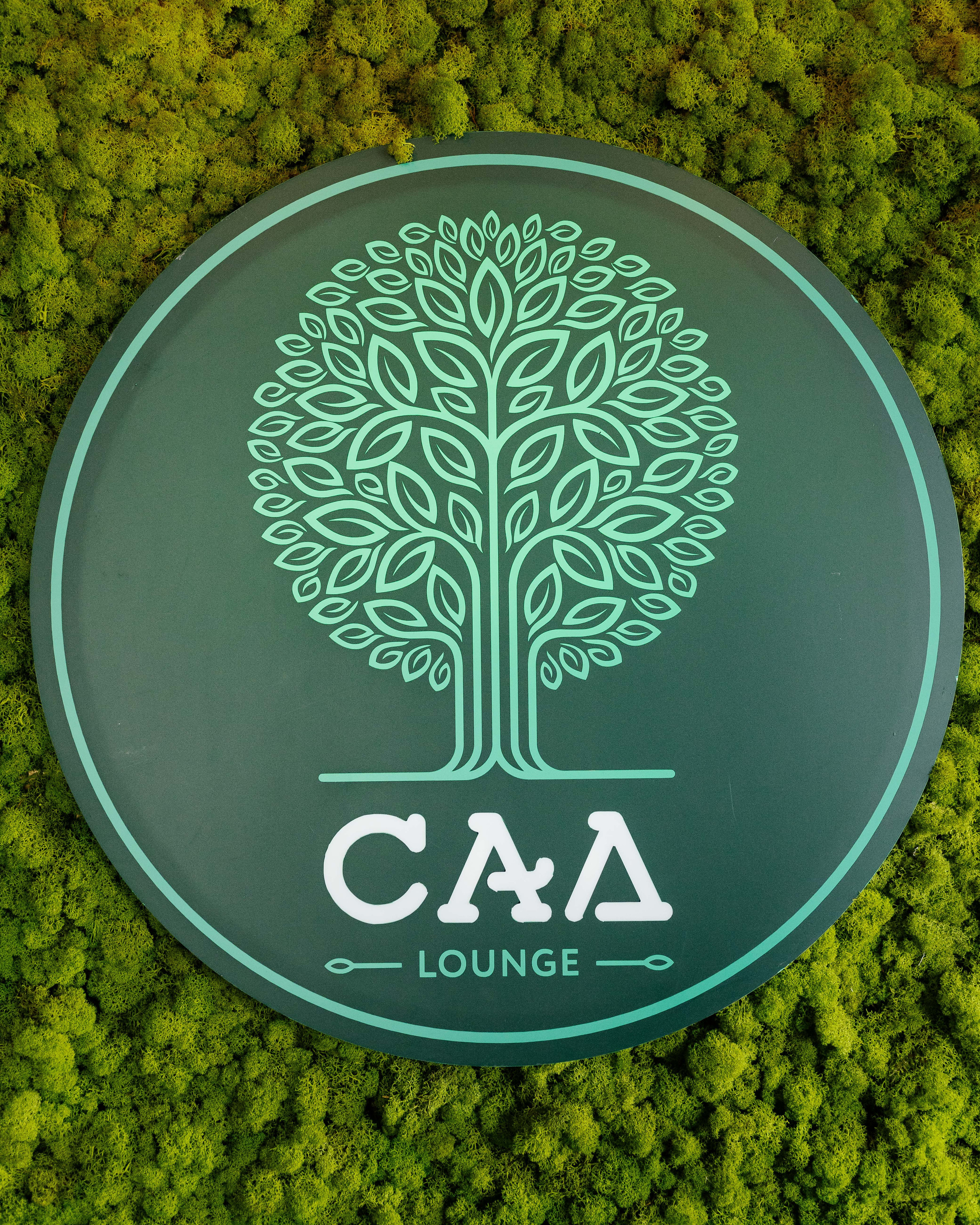 Сад Lounge. Контент фотограф в Ростове-на-Дону Мардус Павел