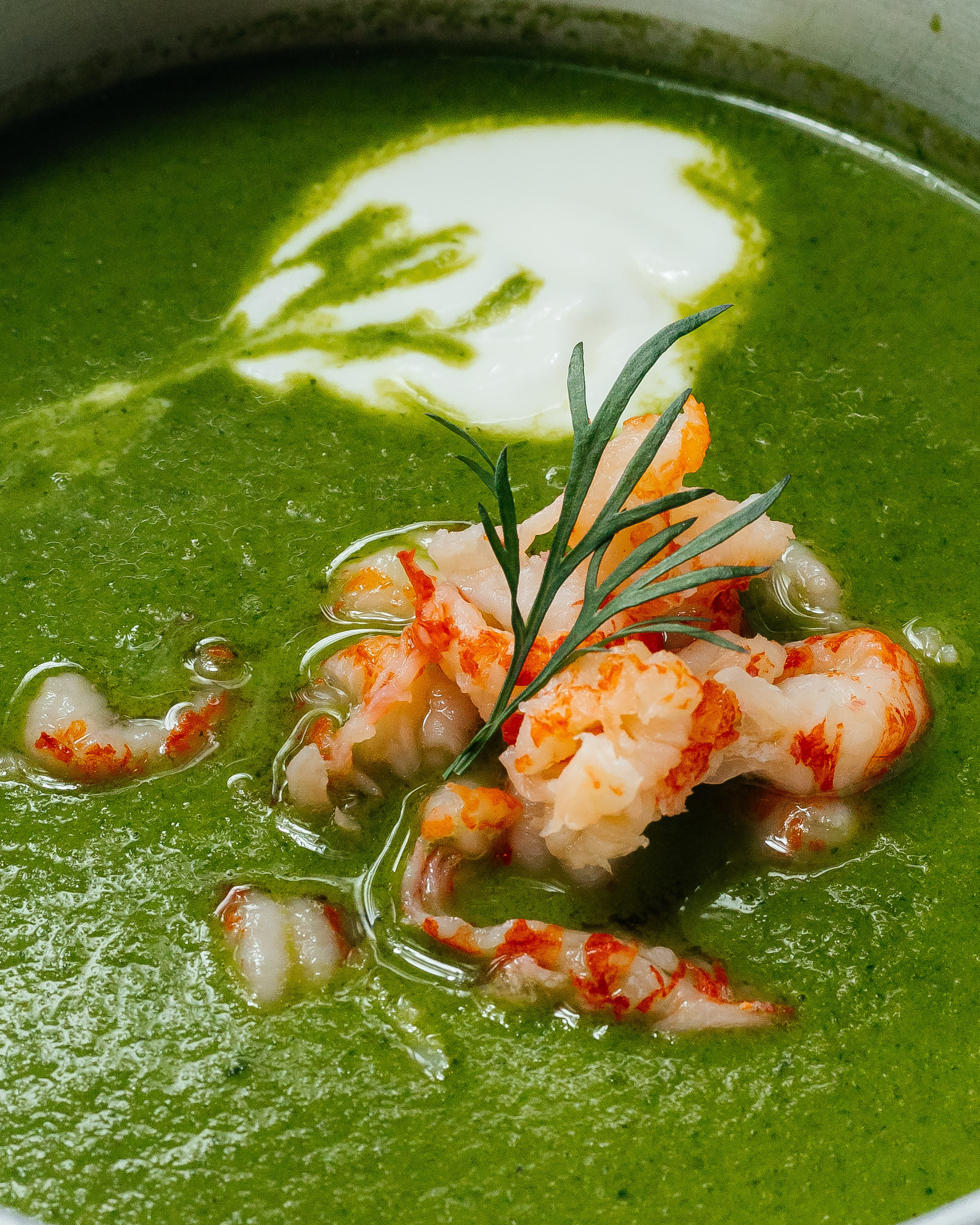 Морики. Контент фотограф в Ростове-на-Дону Мардус Павел