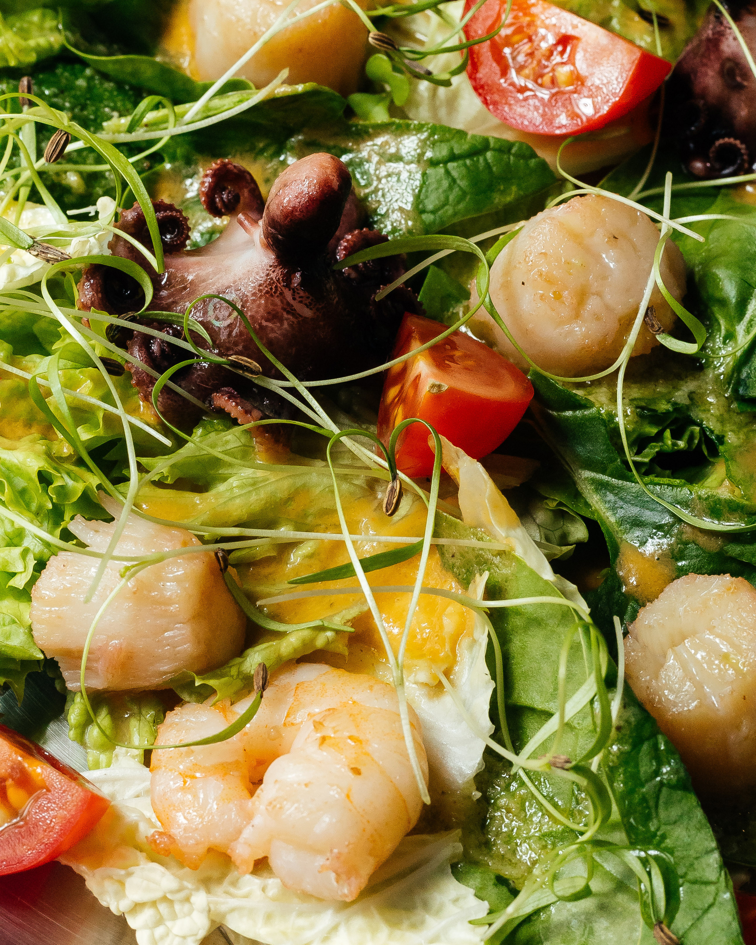 Морики. Контент фотограф в Ростове-на-Дону Мардус Павел