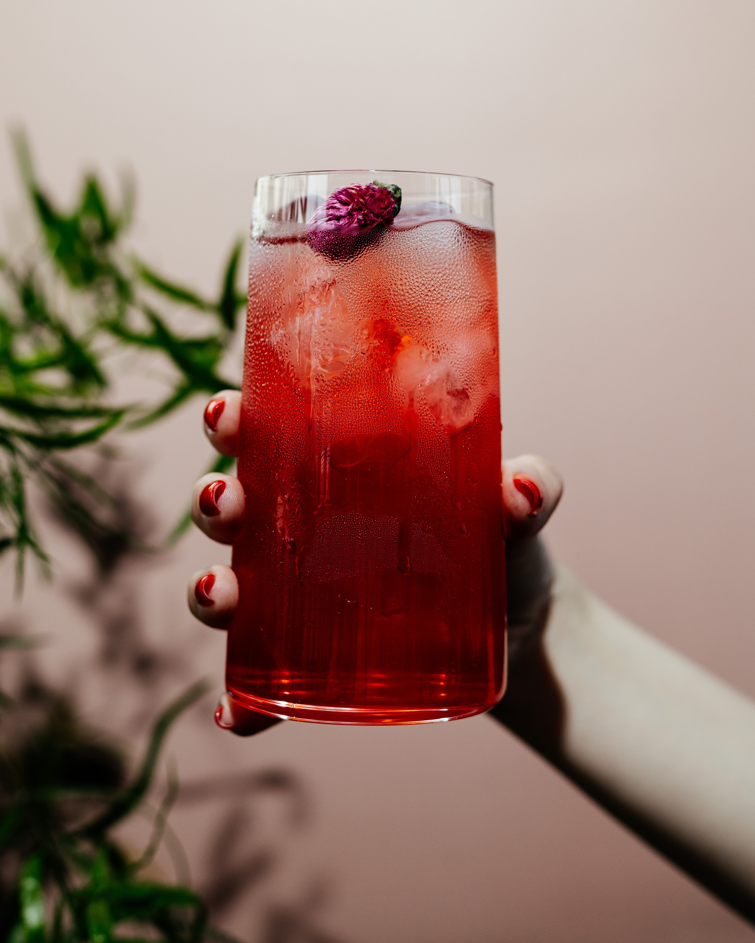 Ресторан Ten Gune by Ginza Project. Контент фотограф в Ростове-на-Дону Мардус Павел