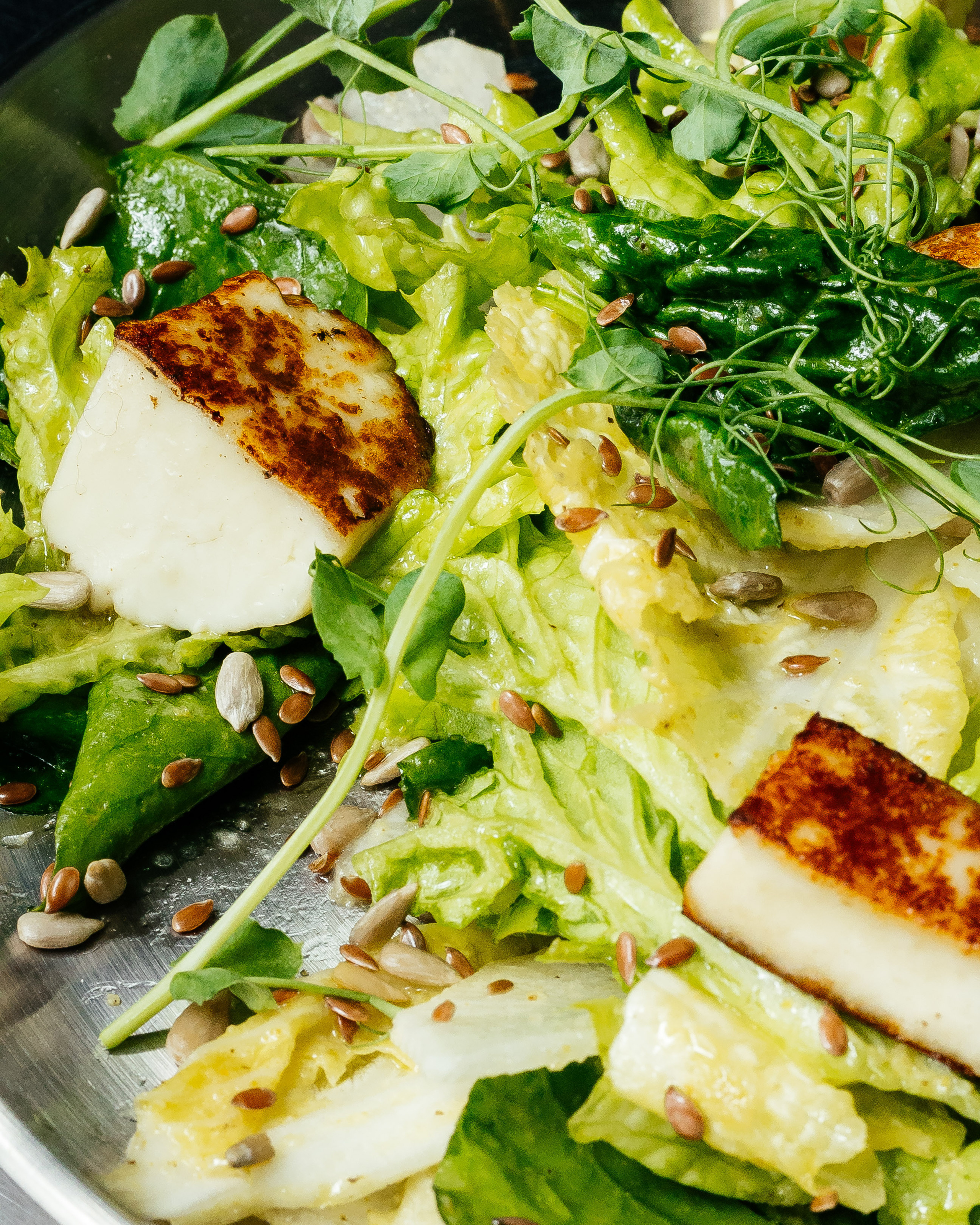 Морики. Контент фотограф в Ростове-на-Дону Мардус Павел