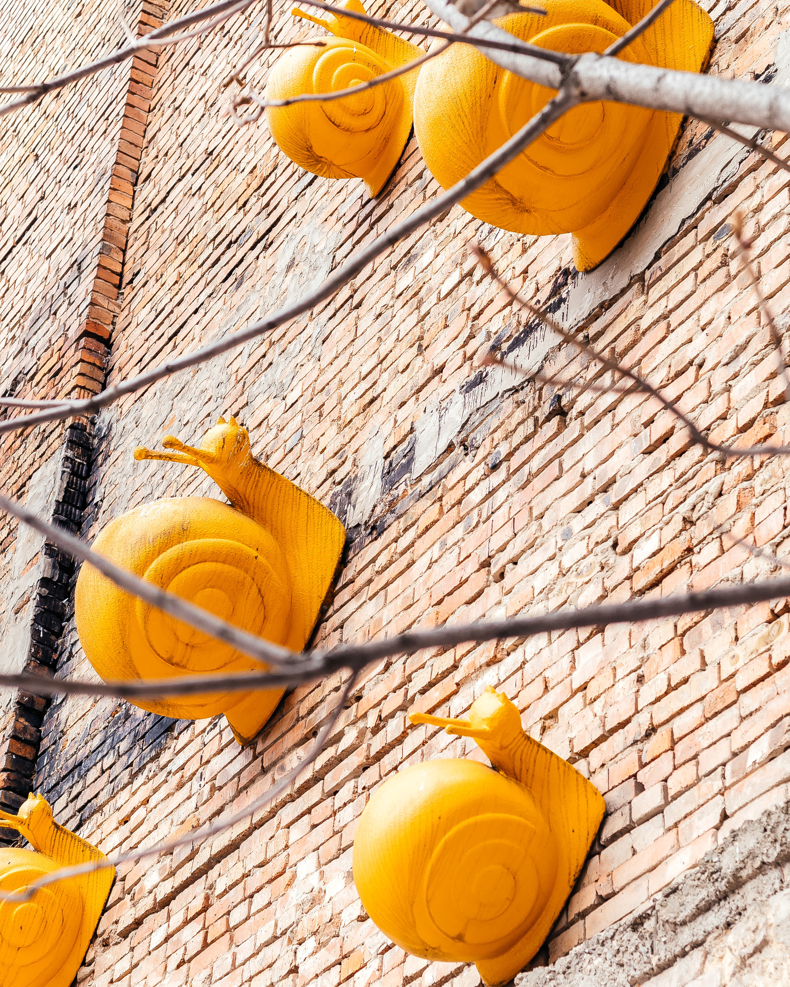 Летняя площадка Лето. Контент фотограф в Ростове-на-Дону Мардус Павел