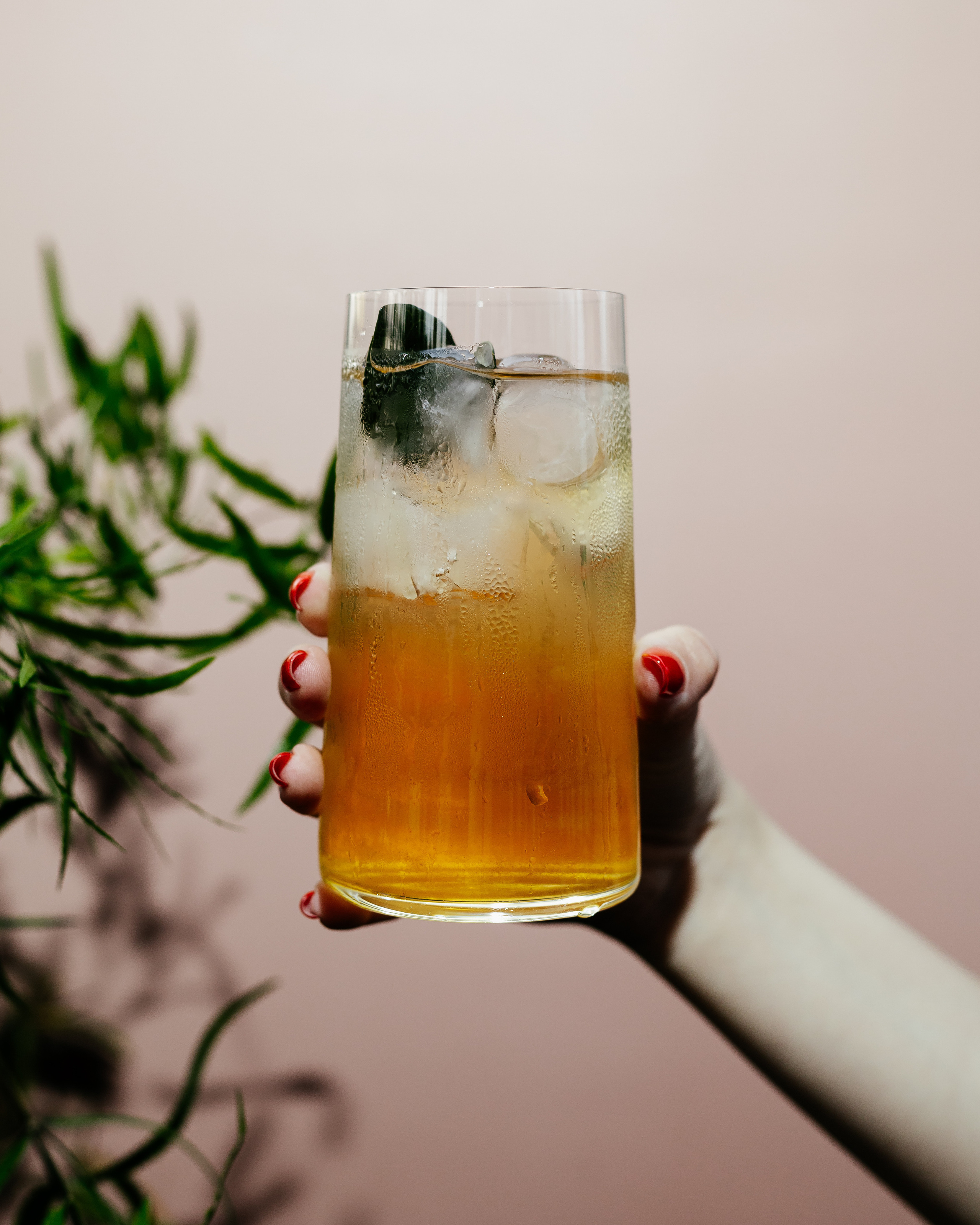 Ресторан Ten Gune by Ginza Project. Контент фотограф в Ростове-на-Дону Мардус Павел