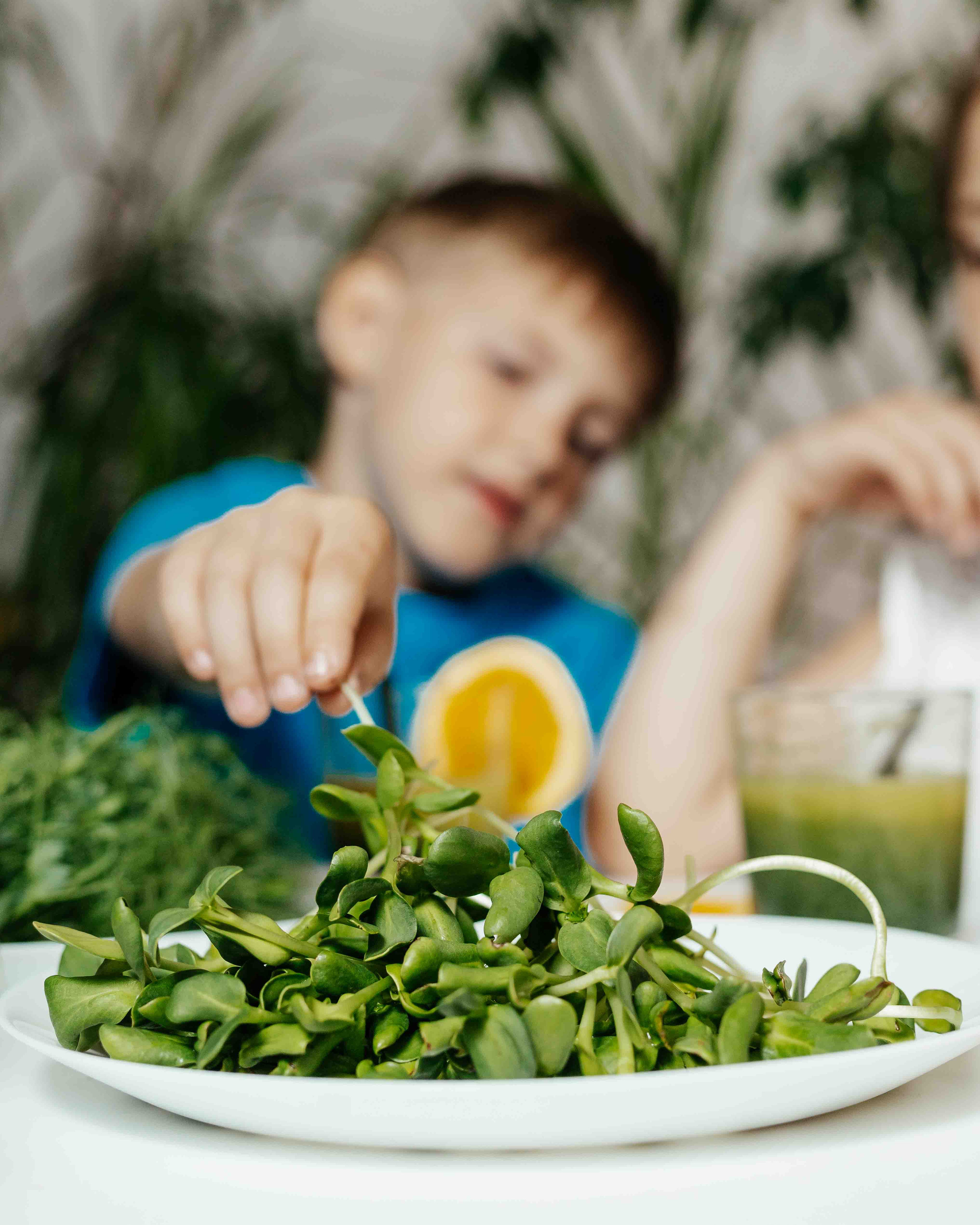 Добавим зелени. Контент фотограф в Ростове-на-Дону Мардус Павел