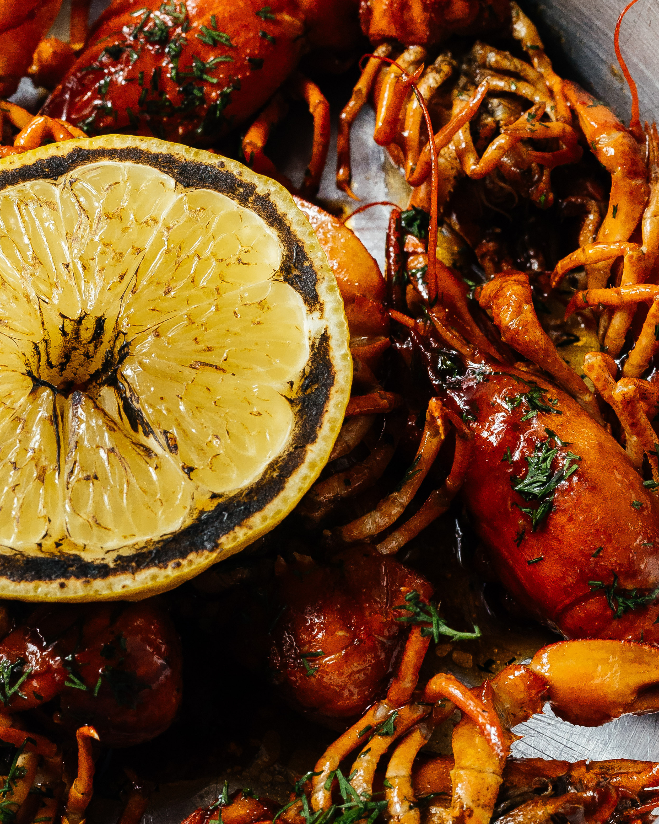 Морики. Контент фотограф в Ростове-на-Дону Мардус Павел