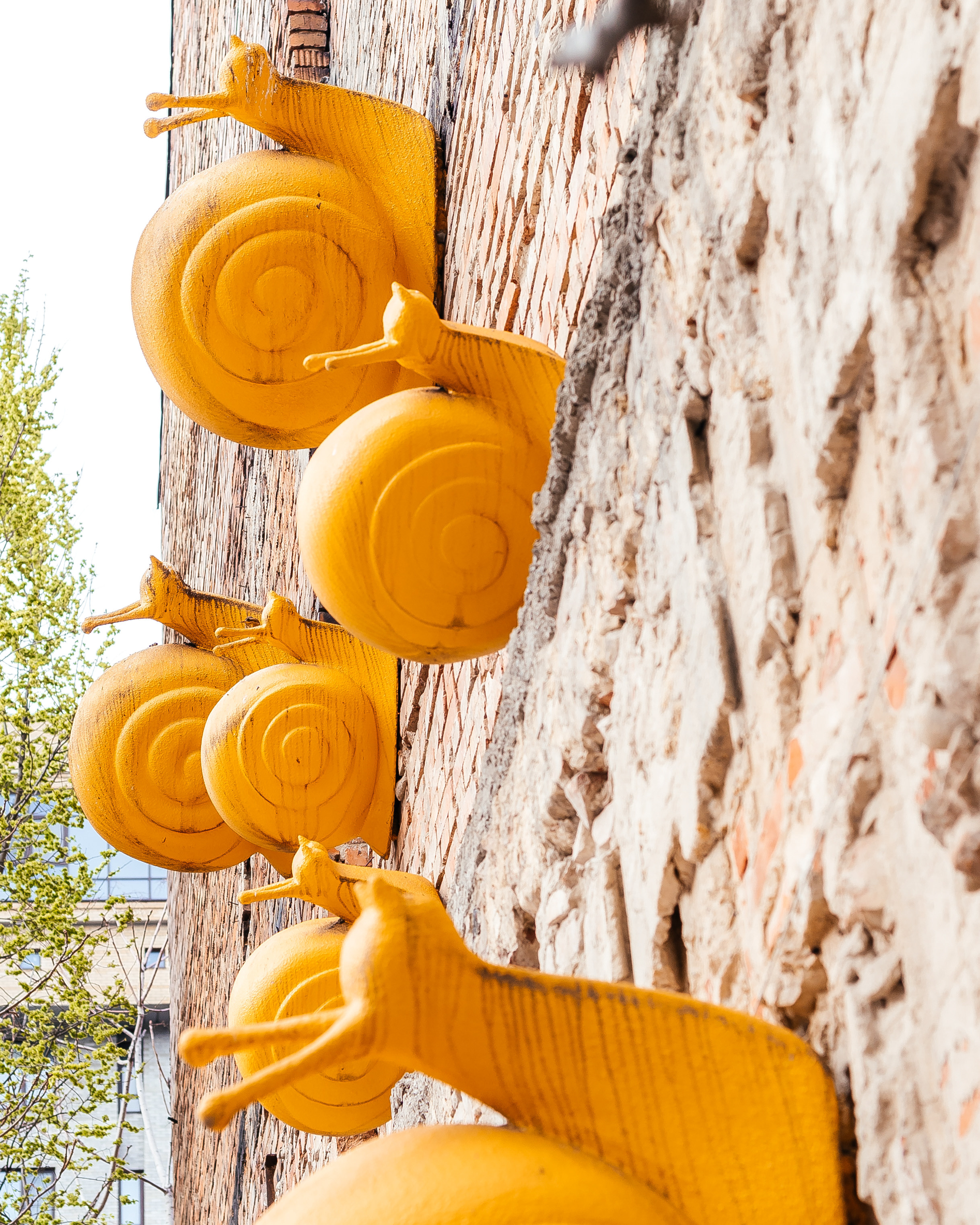 Летняя площадка Лето. Контент фотограф в Ростове-на-Дону Мардус Павел