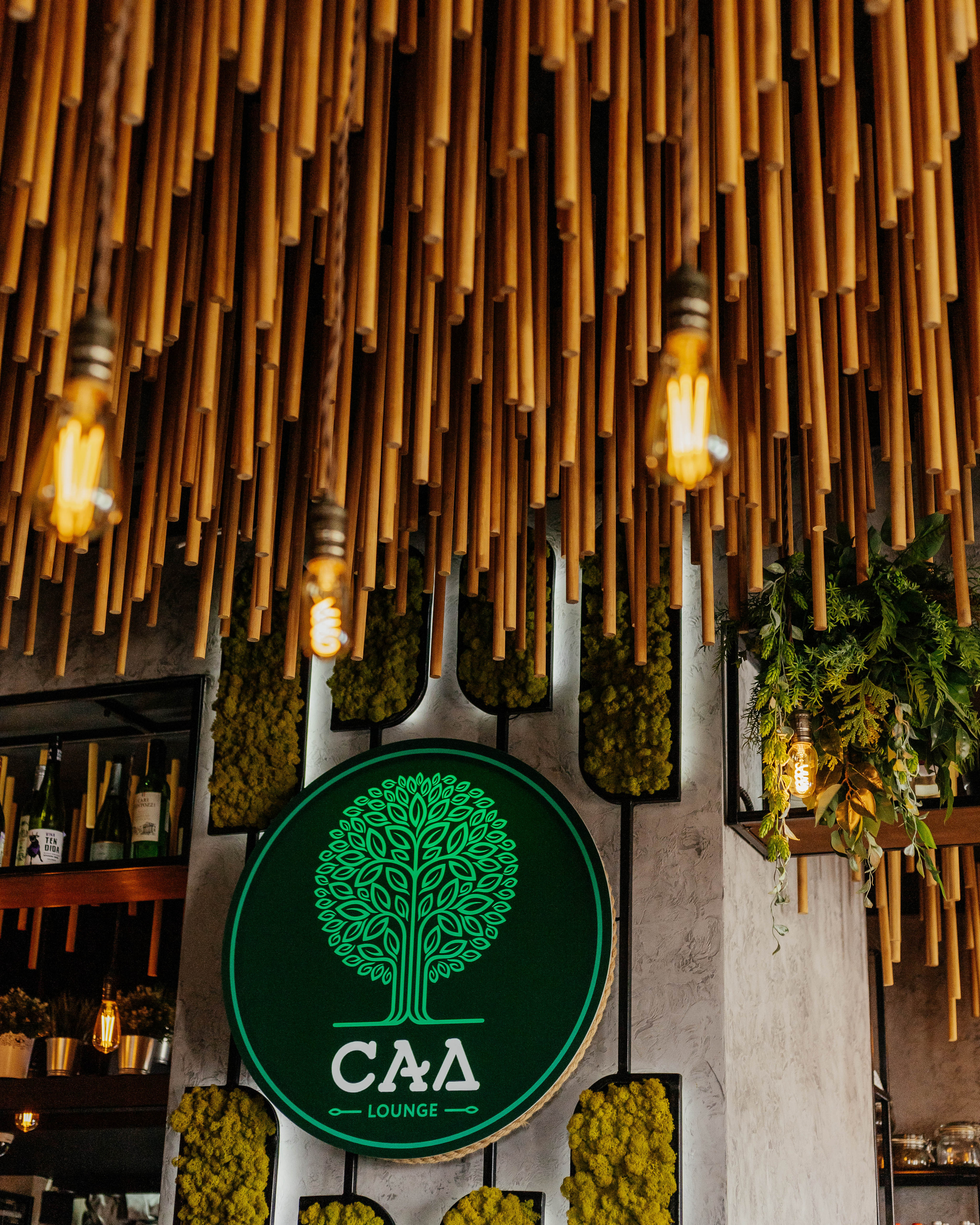 Сад Lounge. Контент фотограф в Ростове-на-Дону Мардус Павел