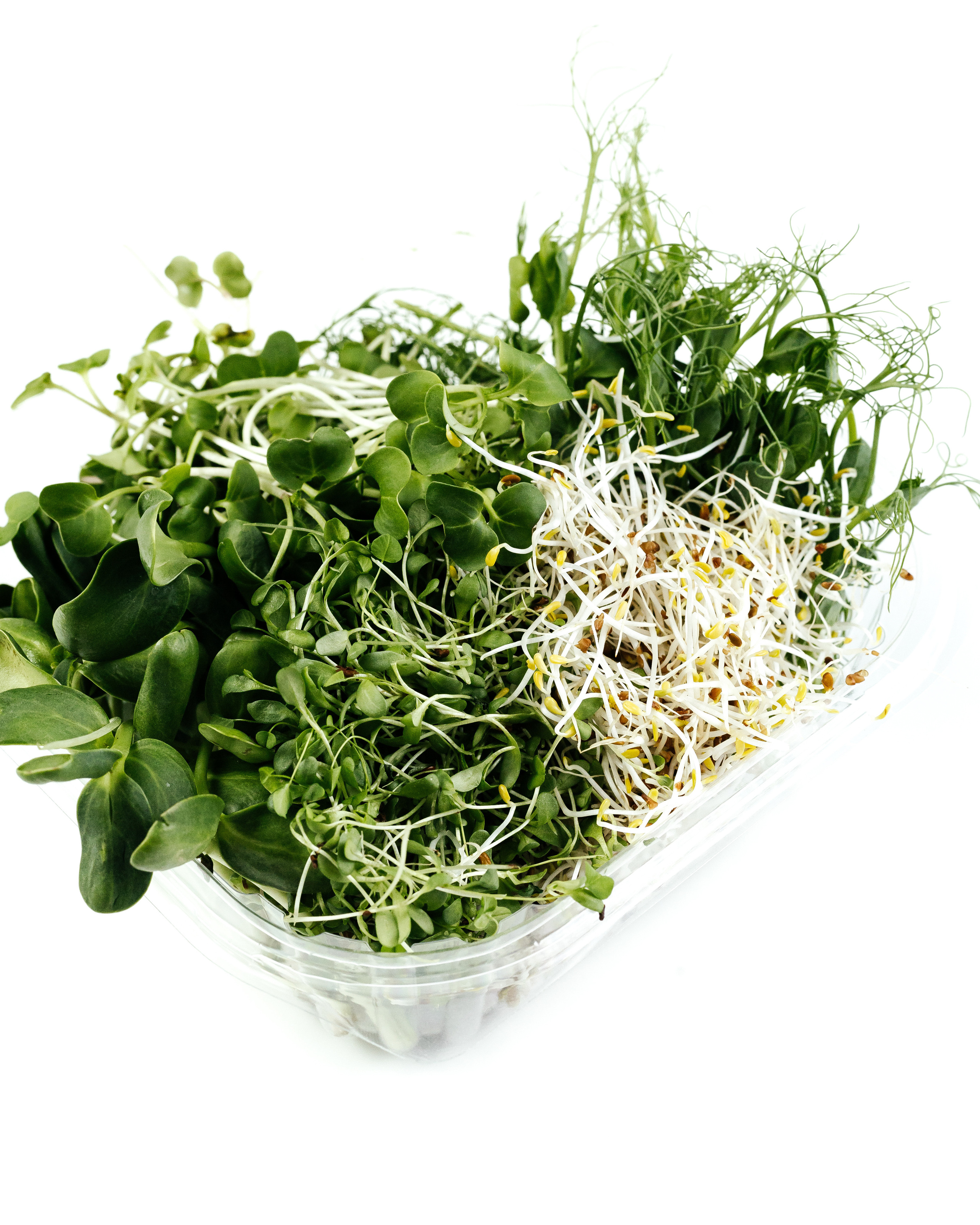 Добавим зелени. Контент фотограф в Ростове-на-Дону Мардус Павел