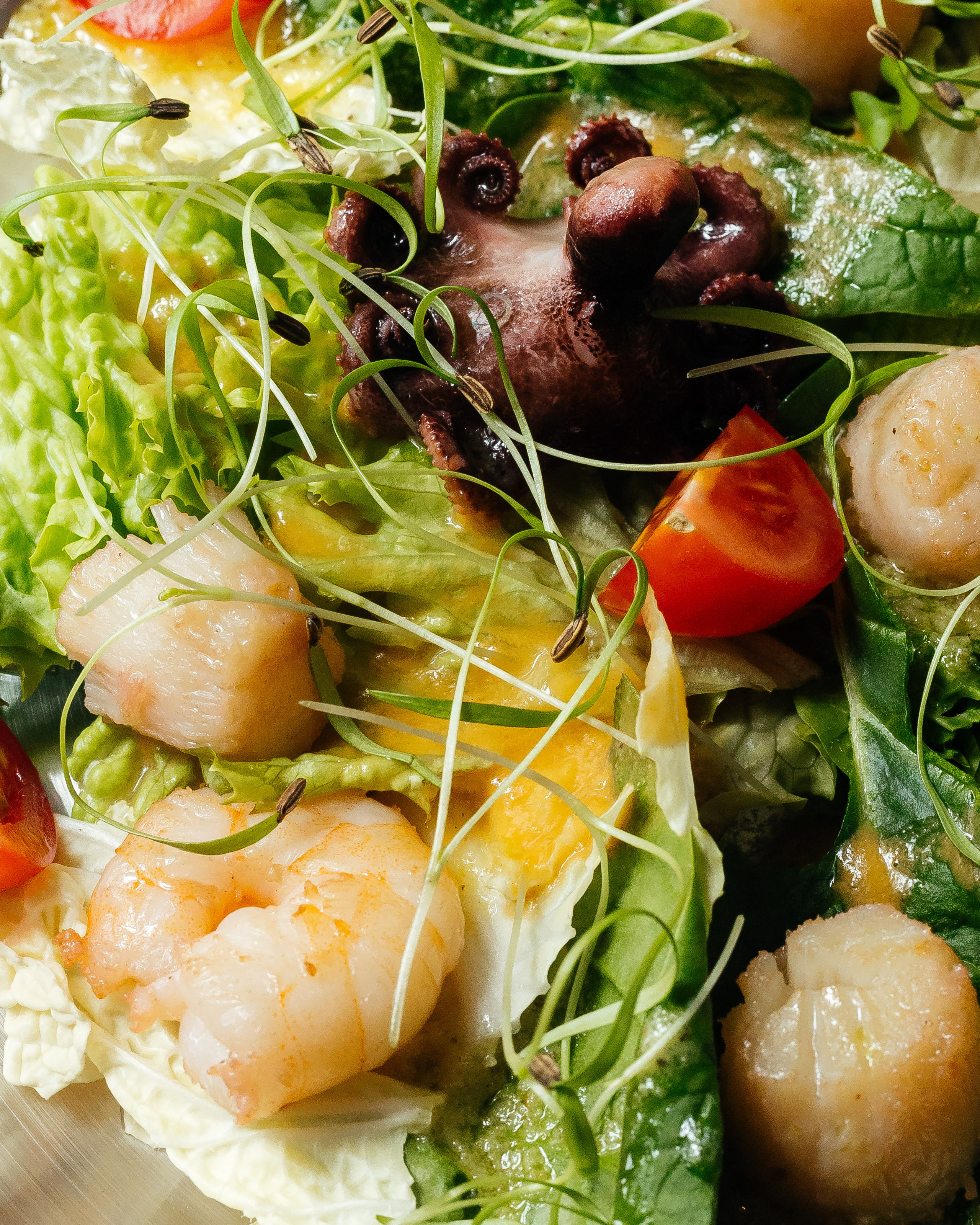 Морики. Контент фотограф в Ростове-на-Дону Мардус Павел